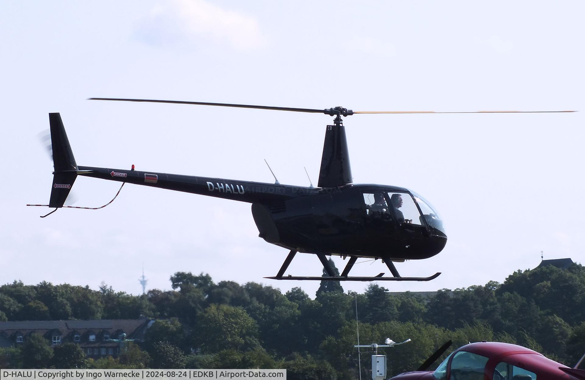 D-HALU, 2003 Robinson R44  Raven C/N 1310, Robinson R44 Raven at Bonn-Hangelar airfield during the Grumman Fly-in 2024