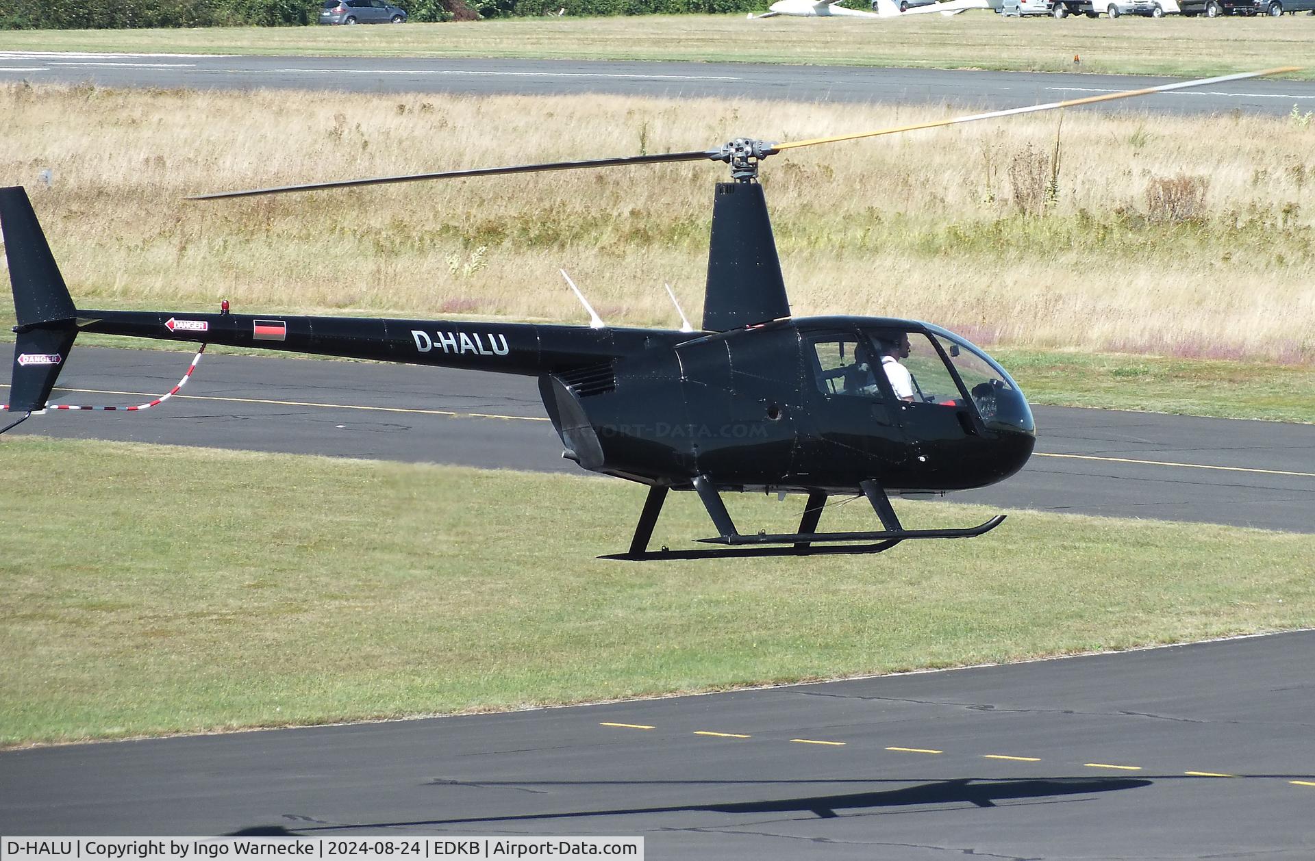 D-HALU, 2003 Robinson R44  Raven C/N 1310, Robinson R44 Raven at Bonn-Hangelar airfield during the Grumman Fly-in 2024