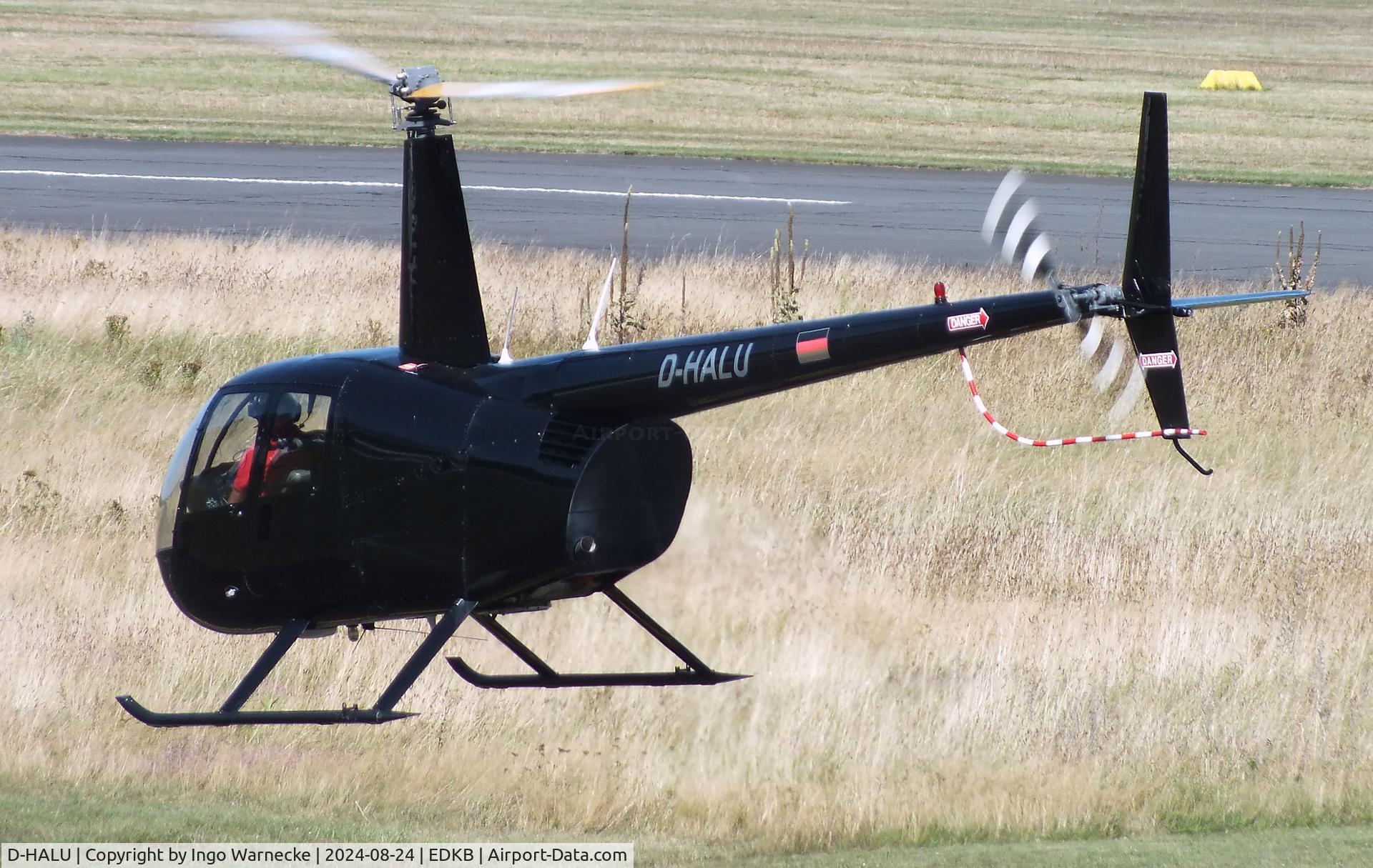 D-HALU, 2003 Robinson R44  Raven C/N 1310, Robinson R44 Raven at Bonn-Hangelar airfield during the Grumman Fly-in 2024