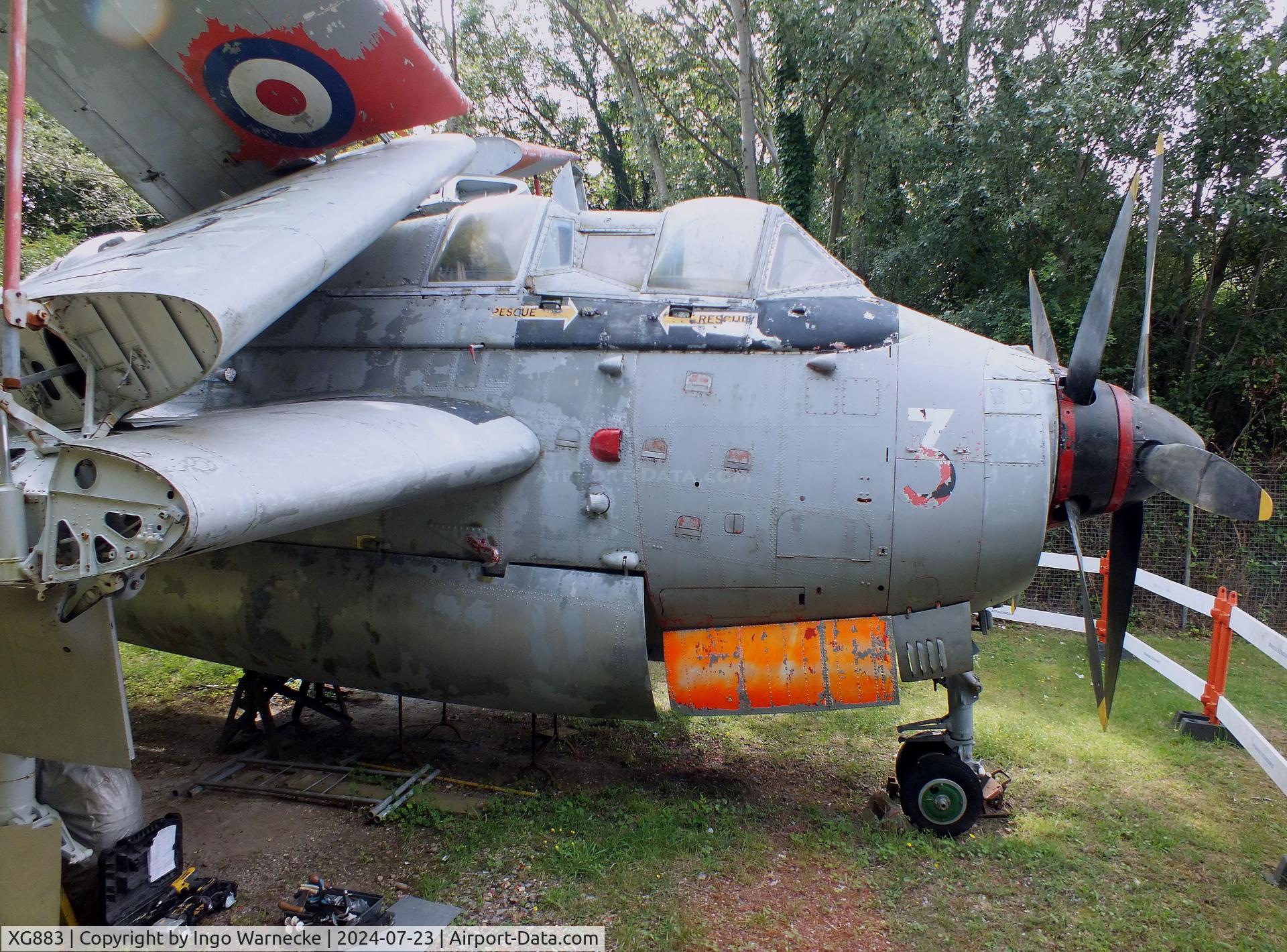 XG883, 1957 Fairey Gannet T.5 C/N F9412, Fairey Gannet T5 being restored at the Museum of Berkshire Aviation, Woodley