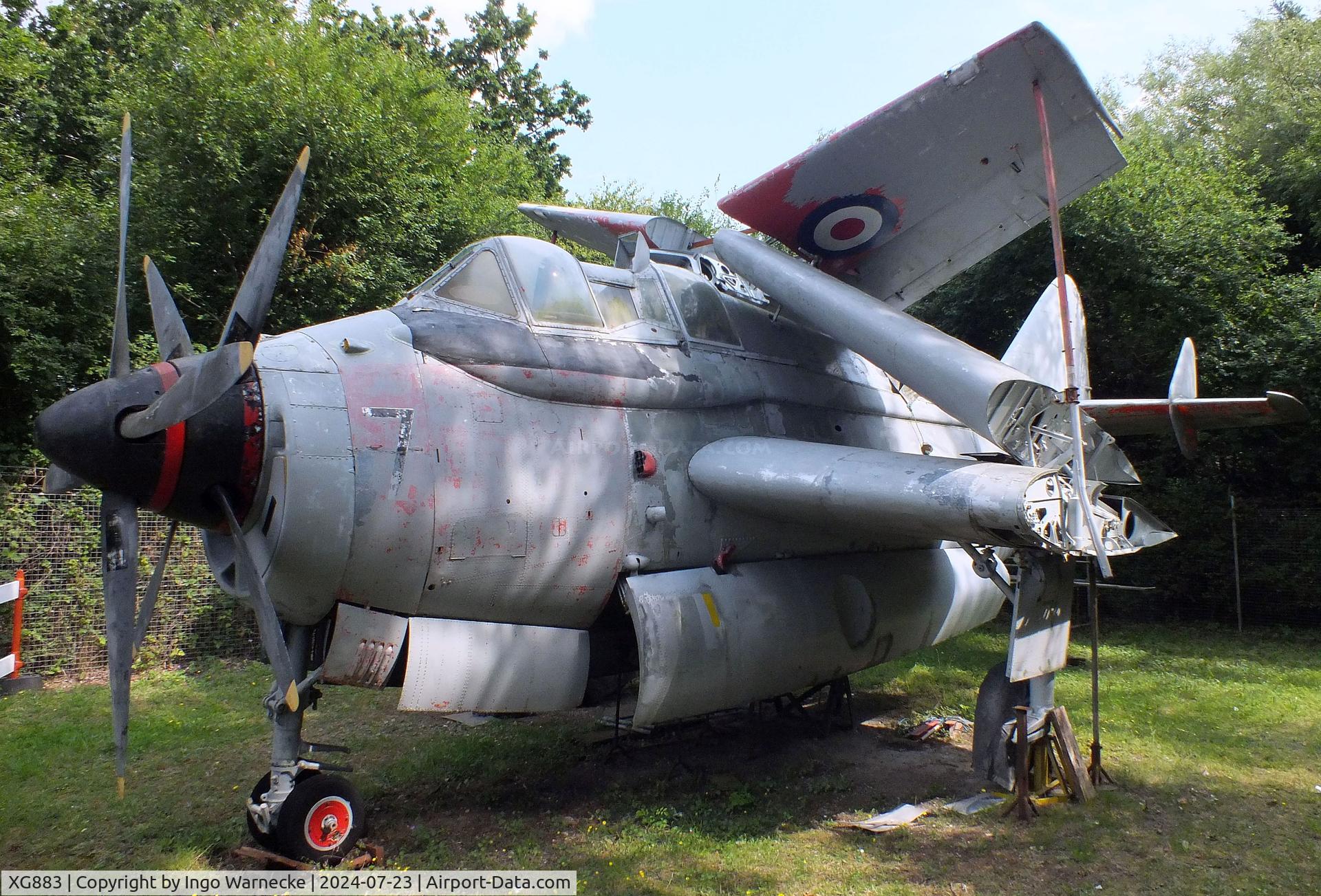 XG883, 1957 Fairey Gannet T.5 C/N F9412, Fairey Gannet T5 being restored at the Museum of Berkshire Aviation, Woodley
