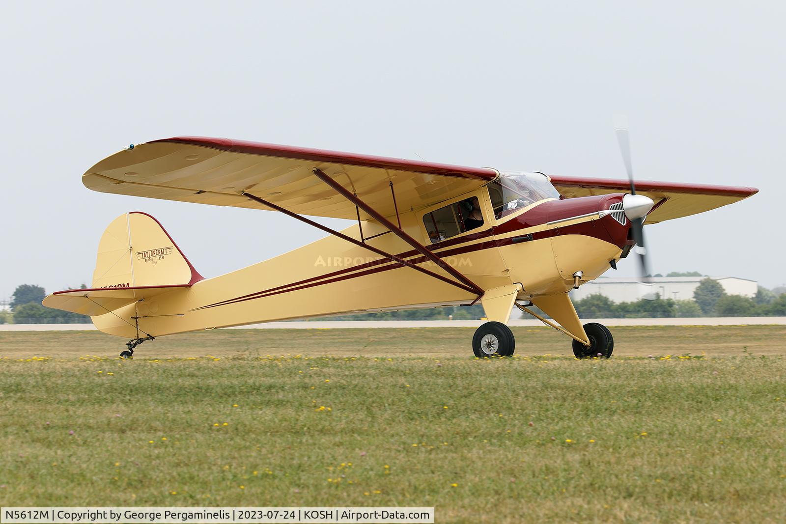 N5612M, 1948 Taylorcraft BC-12D-85 Sportsman C/N 12011, Airventure 2023.