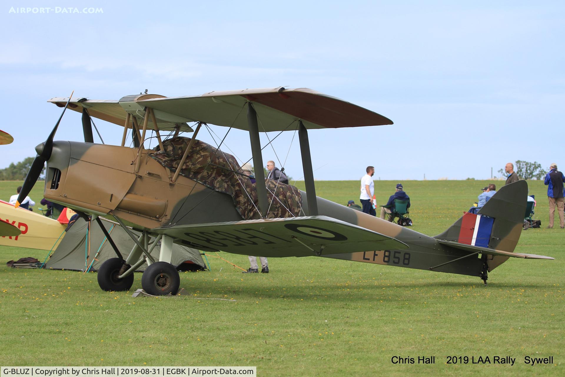 G-BLUZ, 1944 De Havilland DH.82B Queen Bee C/N 1435, 2019 LAA Rally, Sywell