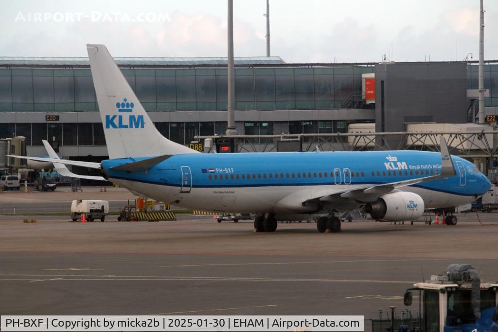 PH-BXF, 2000 Boeing 737-8K2 C/N 29596, Parked