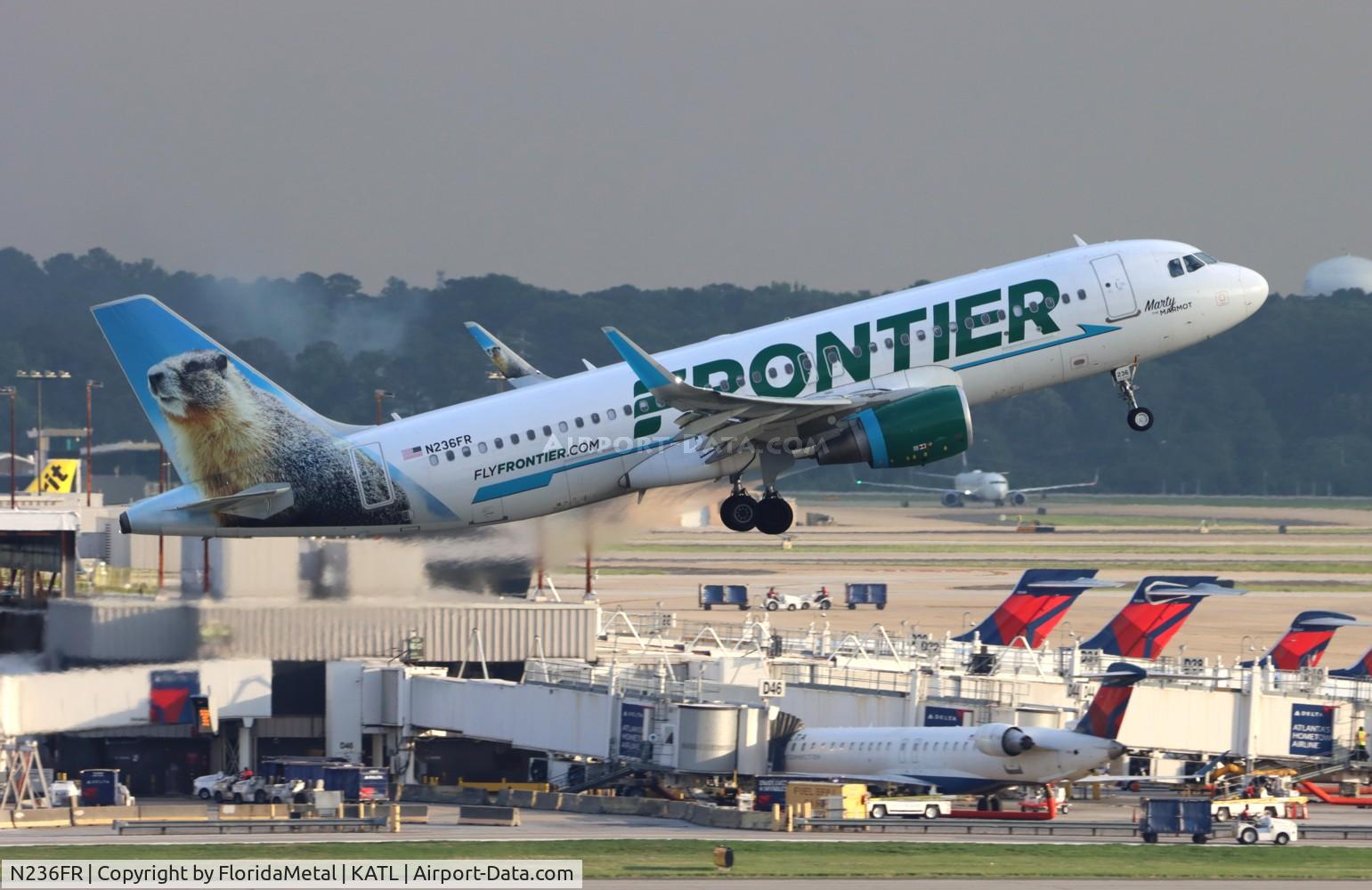 N236FR, 2016 Airbus A320-214 C/N 7389, FFT A320 Marty zx atl-dfw