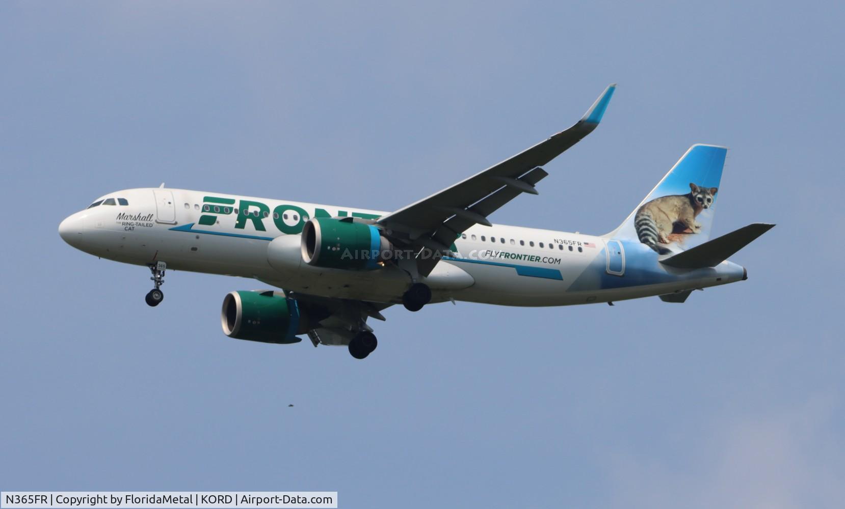 N365FR, 2019 Airbus A320-251N C/N 9340, FFT A32N Marshall zx dfw-ord