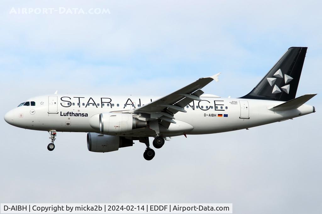 D-AIBH, 2012 Airbus A319-112 C/N 5239, Landing