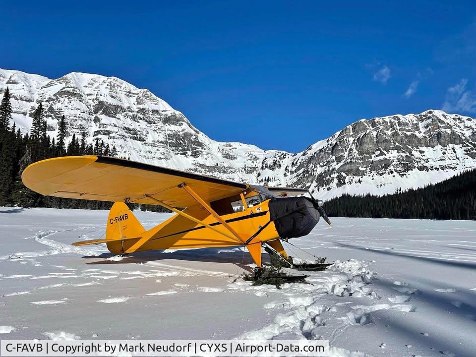 C-FAVB, 1948 Piper PA-17 Vagabond C/N 17-51, Image taken from marketplace listing