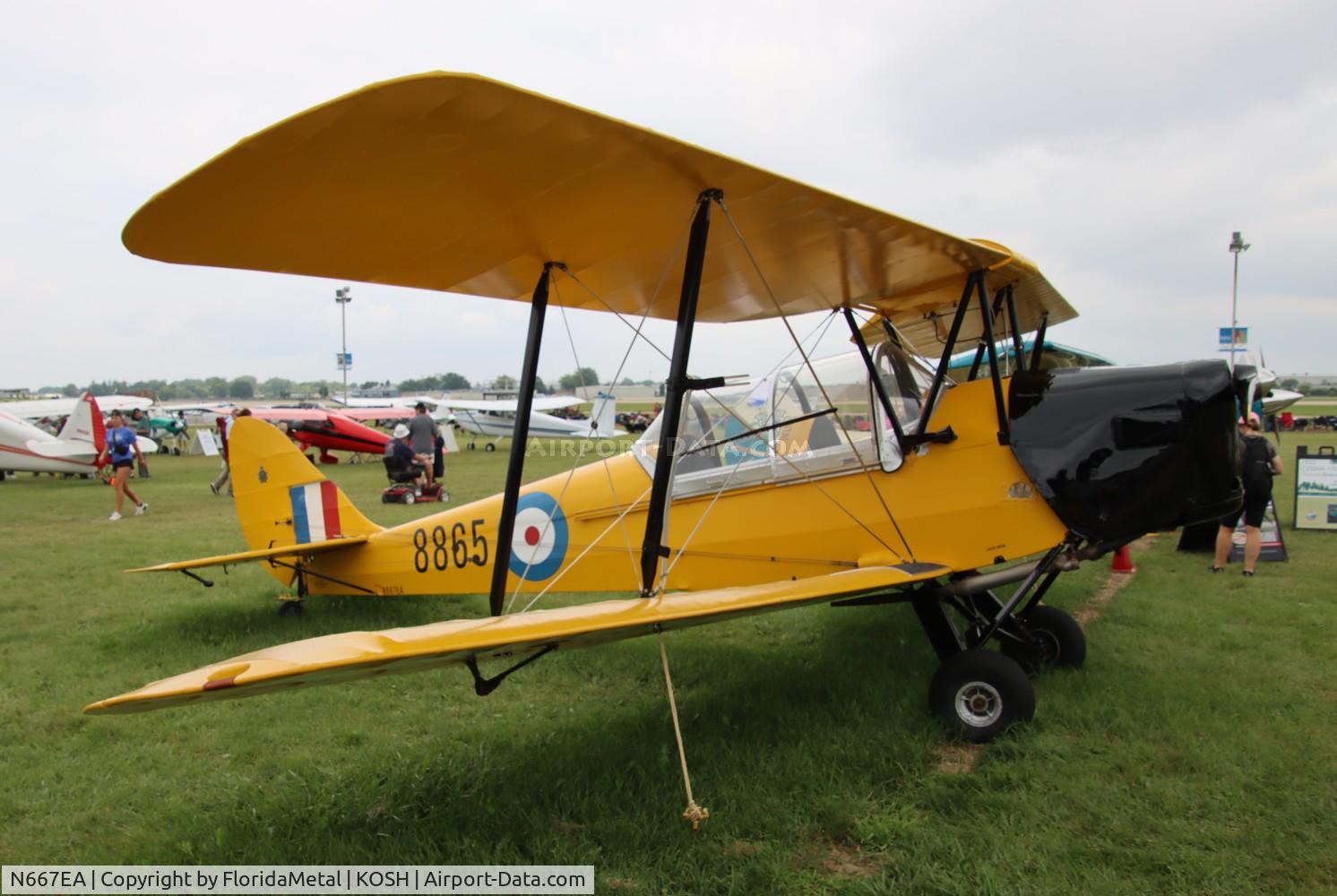 N667EA, 1942 De Havilland Canada DH-82C Tiger Moth C/N DHC1667, DH-82 zx