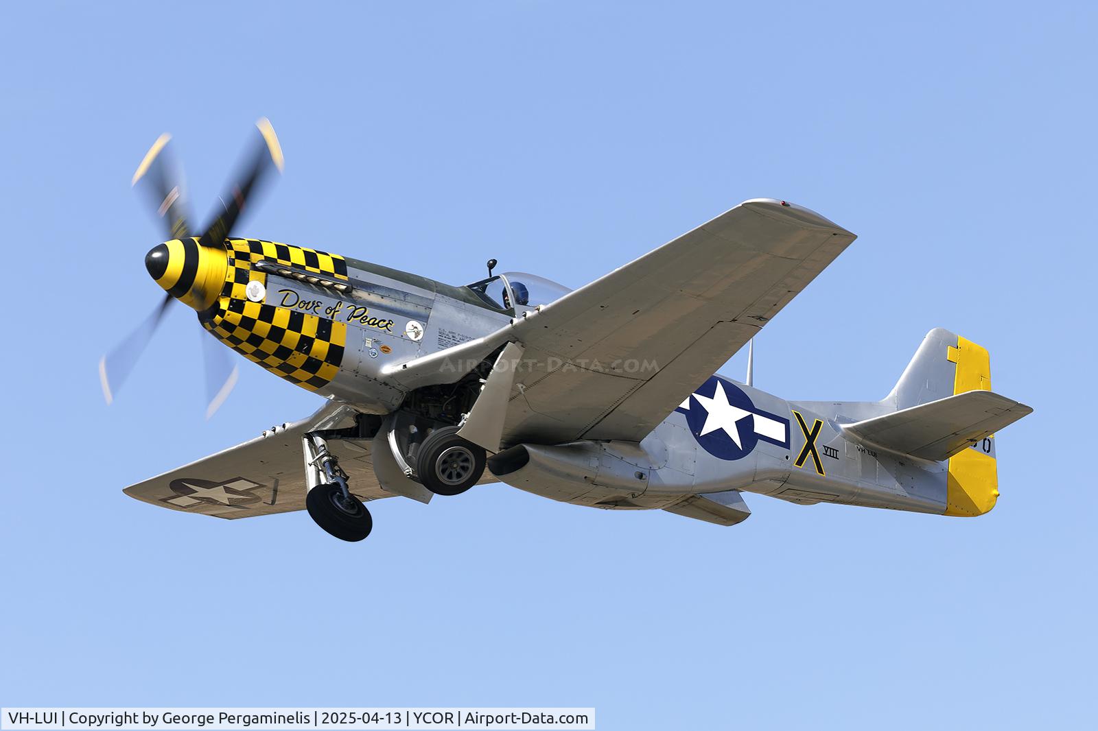 VH-LUI, NORTH AMERICAN AVIATION, INC. P51D 20NT C/N 44 13016, Antique Aeroplane Association of Australia National Fly-in 2025.
