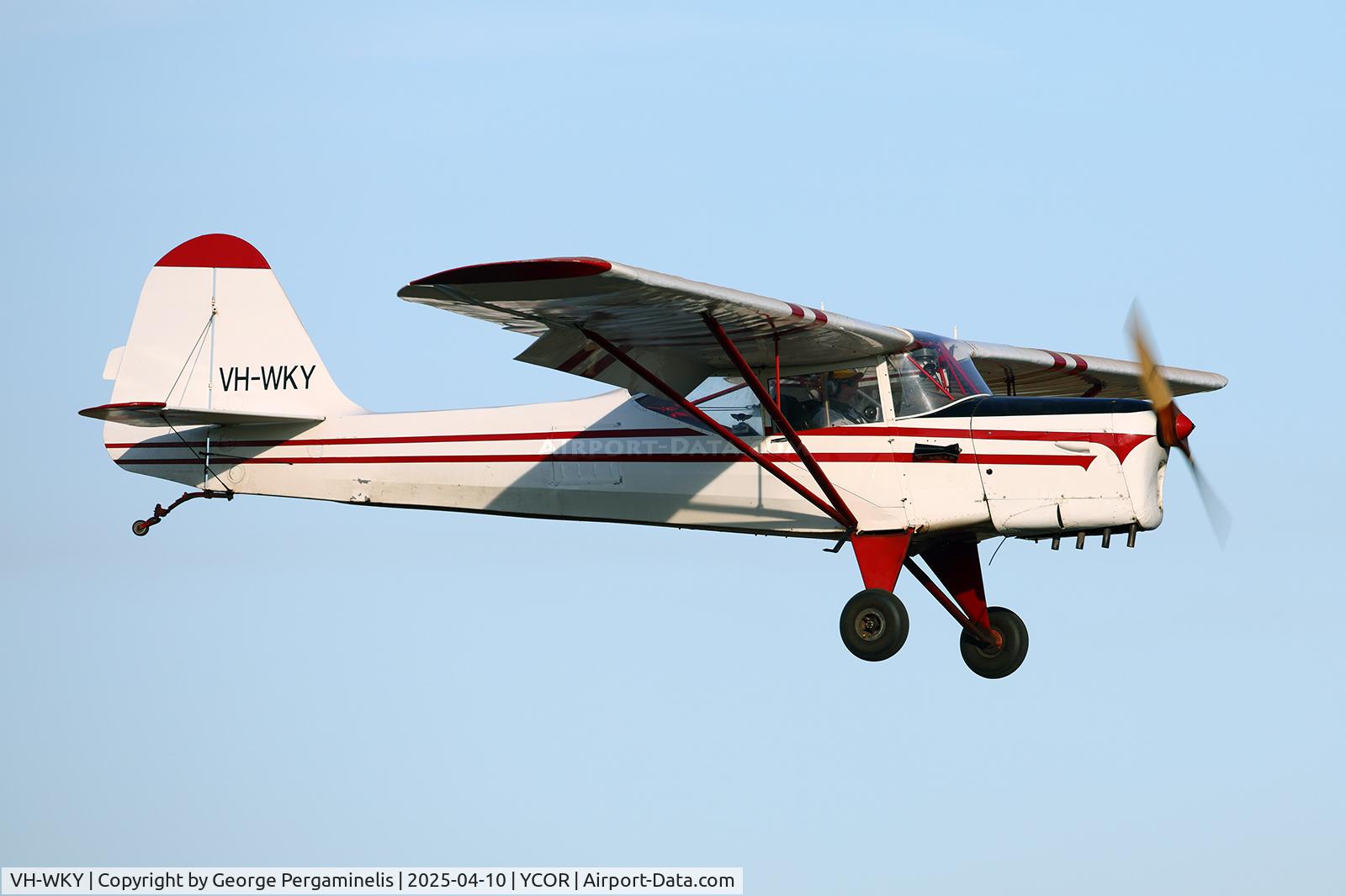 VH-WKY, 1952 Auster J-5F Aiglet Trainer C/N 2784, Antique Aeroplane Association of Australia National Fly-in 2025.