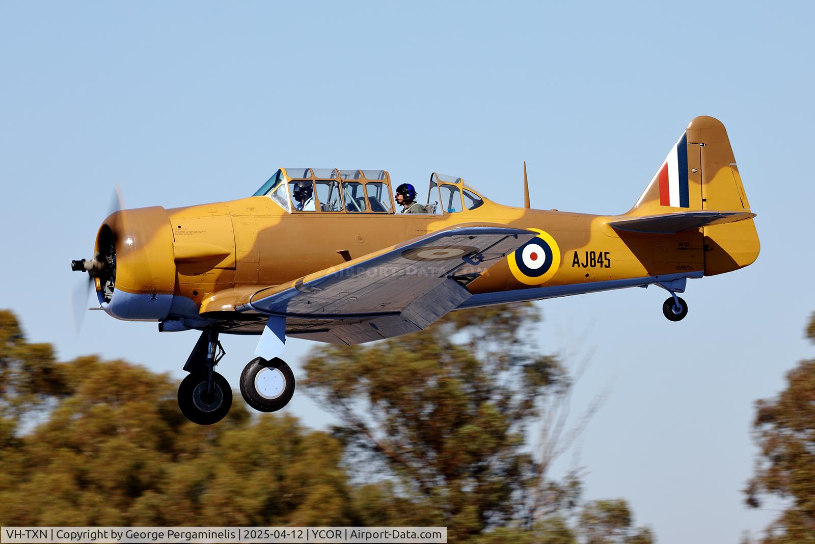 VH-TXN, 1943 Noorduyn AT-16 Harvard IIB C/N 14A-1106, Antique Aeroplane Association of Australia National Fly-in 2025.