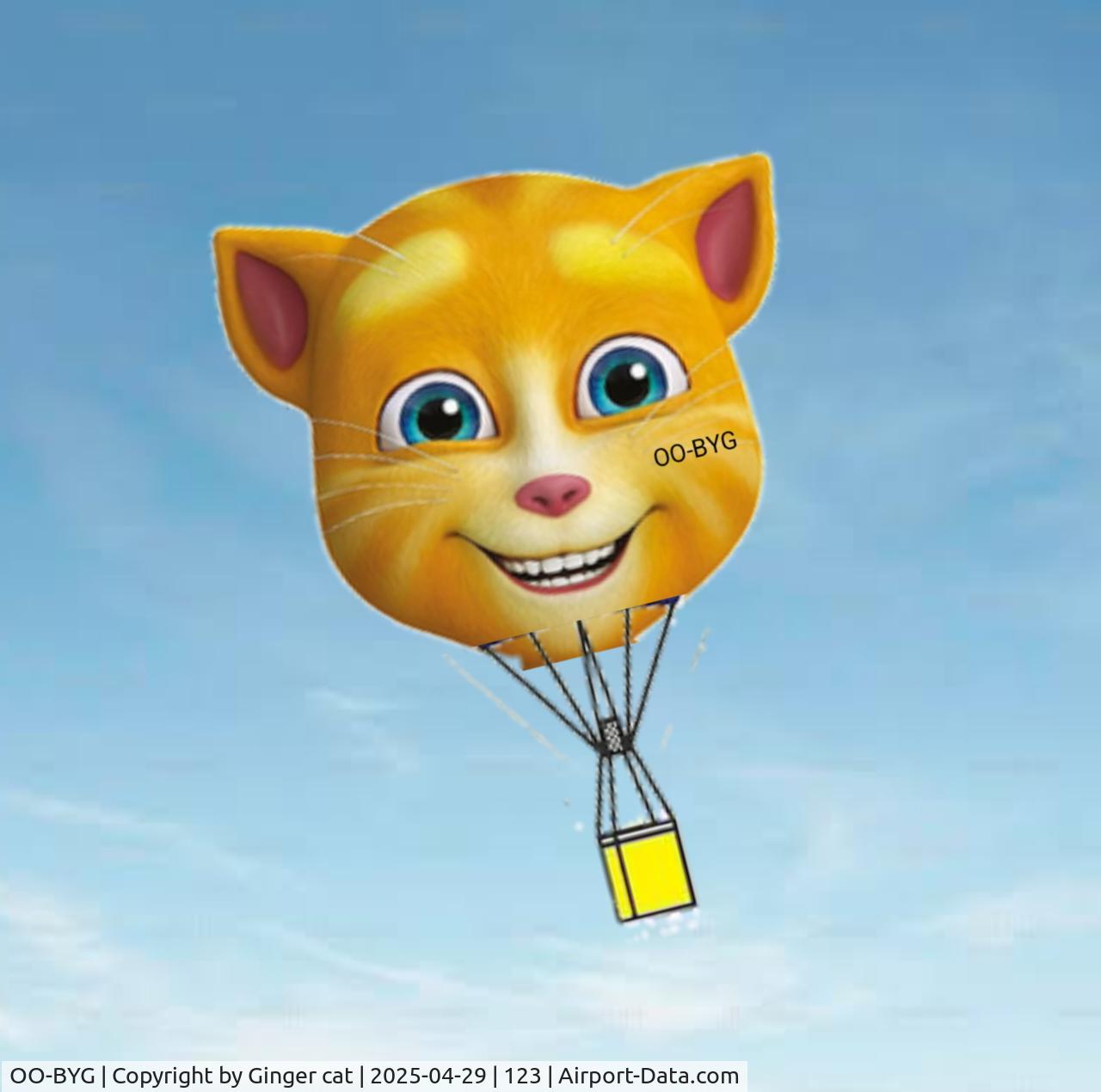 OO-BYG, 2025 Ginger Cat OO-BYG C/N 1345, So much ginger cat
