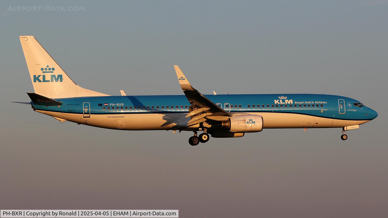 PH-BXR, 2001 Boeing 737-9K2 C/N 29601, at eham