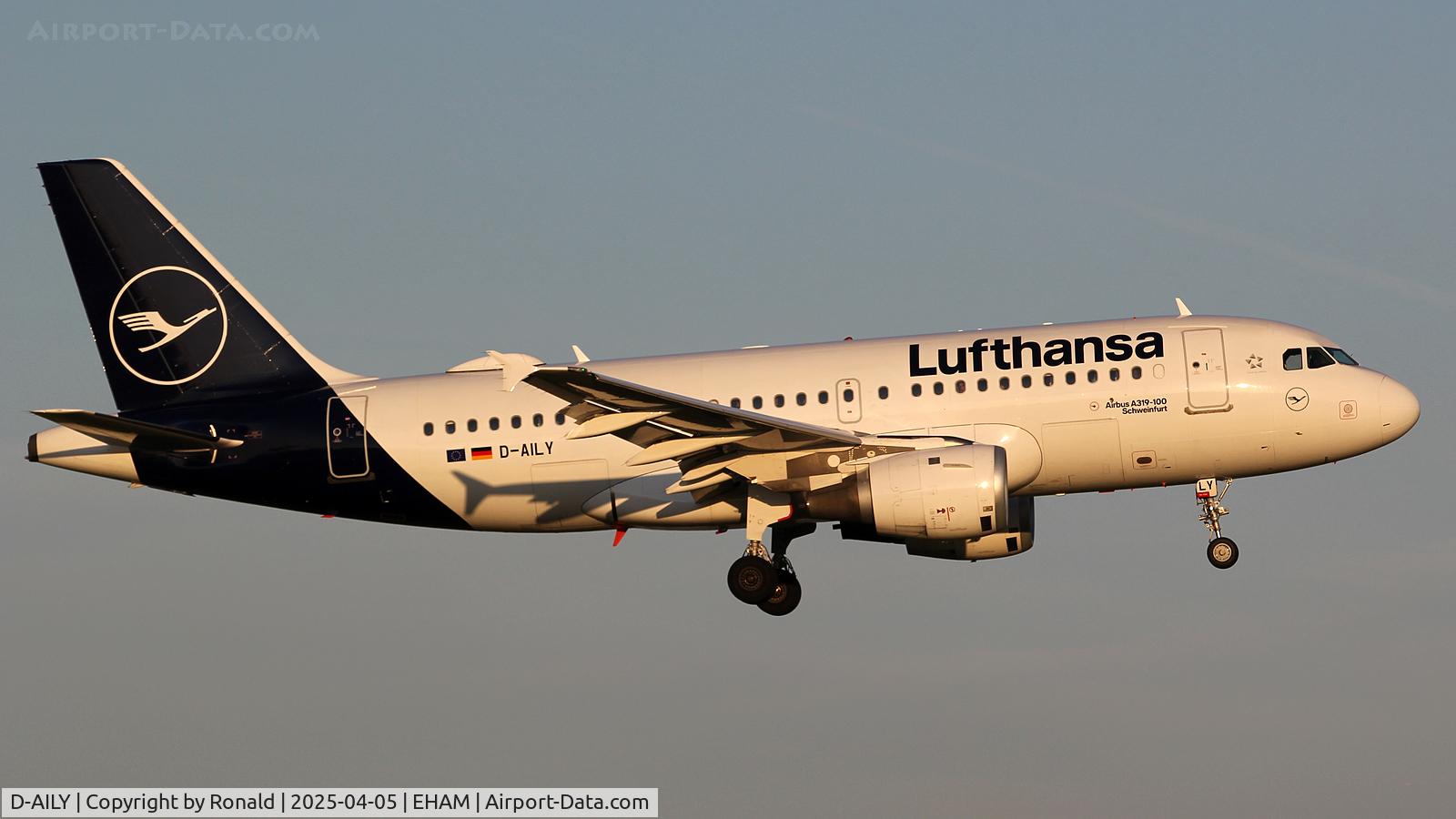 D-AILY, 1998 Airbus A319-114 C/N 875, at eham