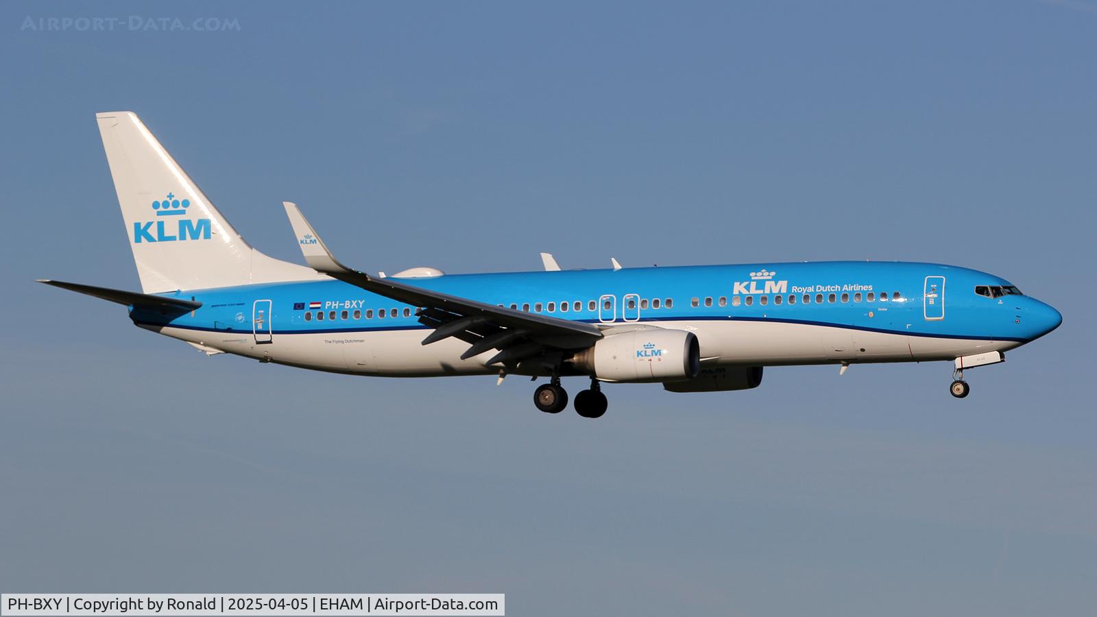 PH-BXY, 2008 Boeing 737-8K2 C/N 30372, at eham