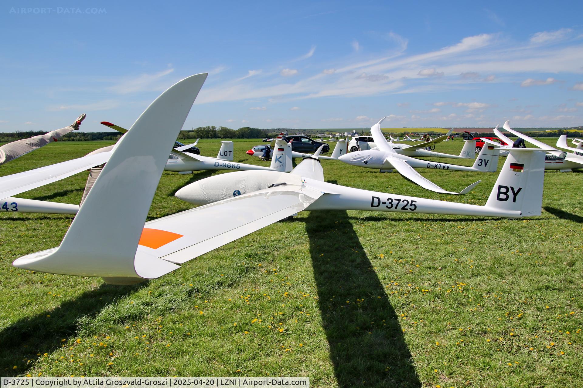 D-3725, 1996 Rolladen-Schneider LS-8a C/N 8053, LZNI - Nitra Airport, Slovakia - Pribina Cup 2025