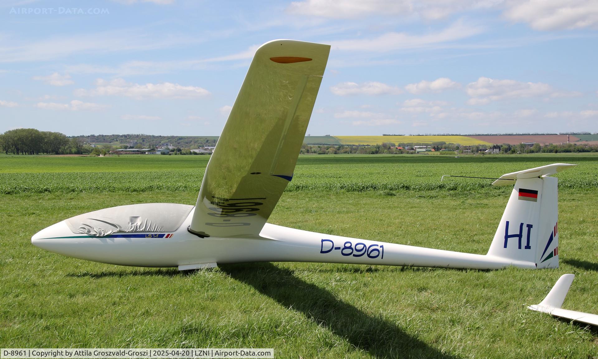 D-8961, 1976 Rolladen-Schneider LS-1f C/N 460, LZNI - Nitra Airport, Slovakia - Pribina Cup 2025