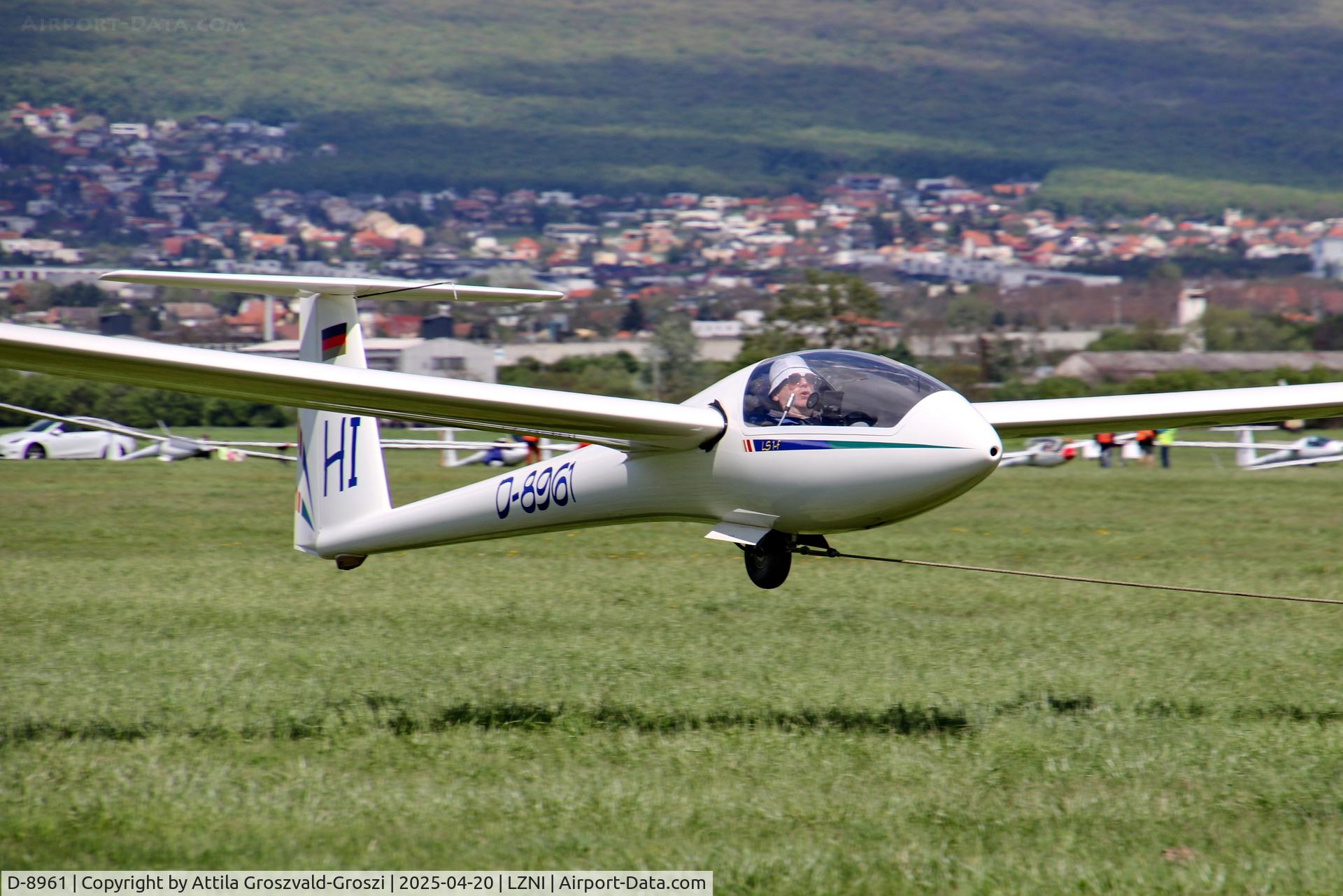 D-8961, 1976 Rolladen-Schneider LS-1f C/N 460, LZNI - Nitra Airport, Slovakia - Pribina Cup 2025