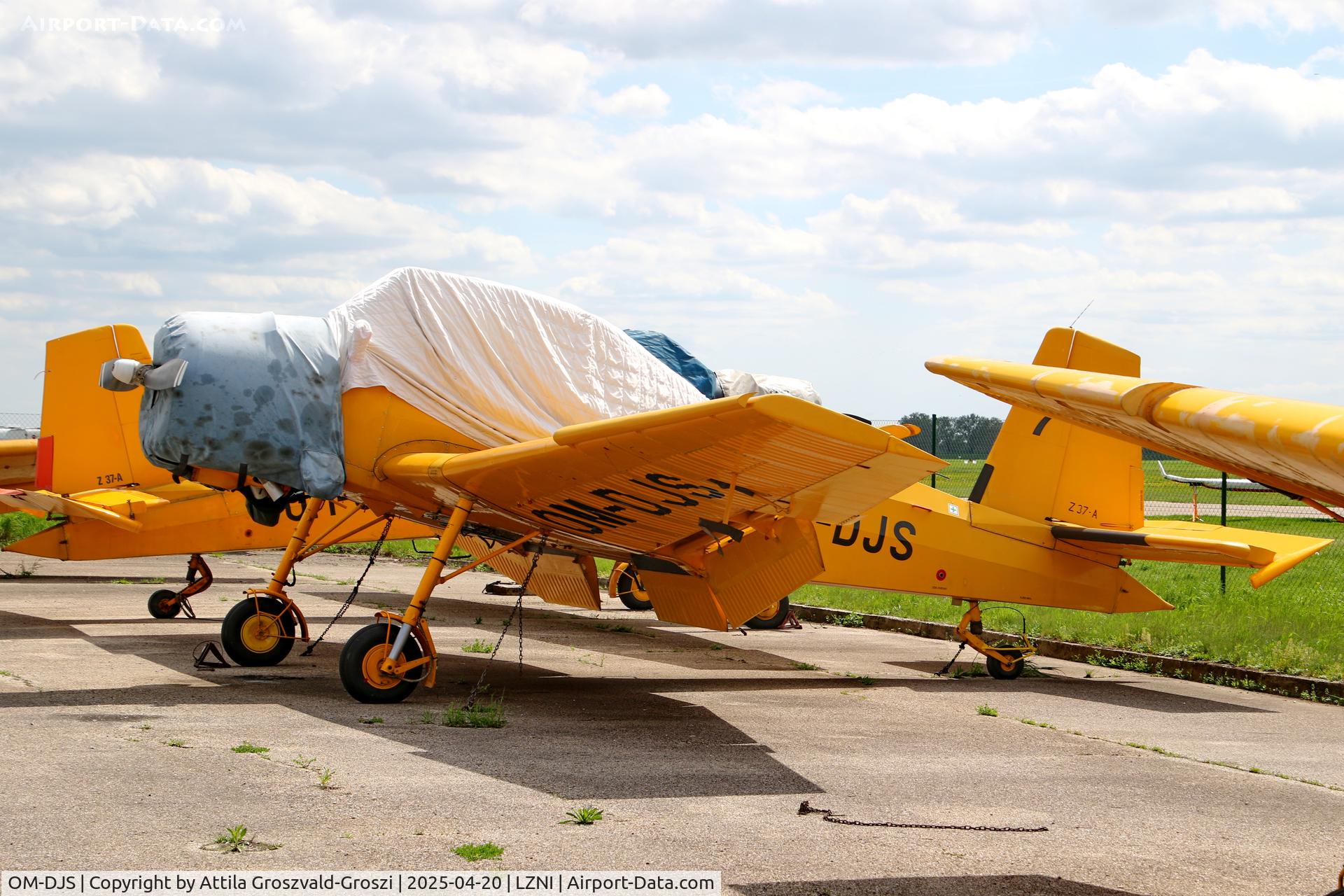 OM-DJS, 1974 Let Z-37A Cmelak C/N 17-20, LZNI - Nitra Airport, Slovakia