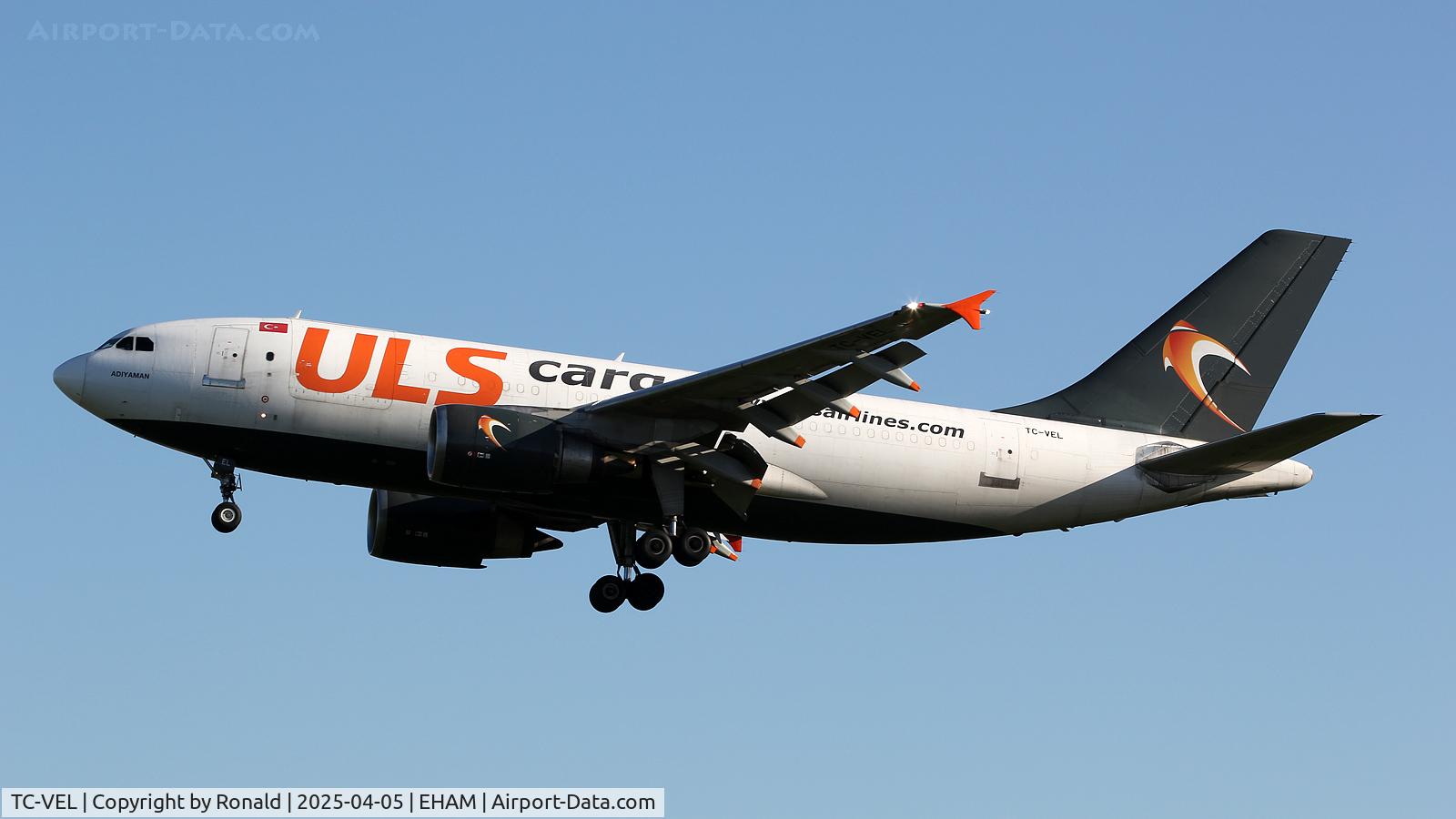 TC-VEL, 1991 Airbus A310-308(F) C/N 622, at eham