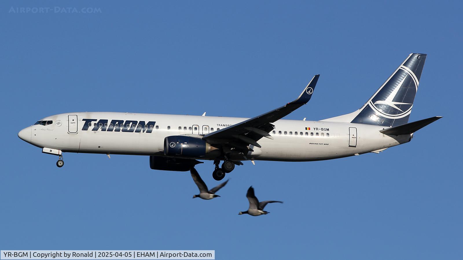 YR-BGM, 2013 Boeing 737-8H6 C/N 40152, at eham