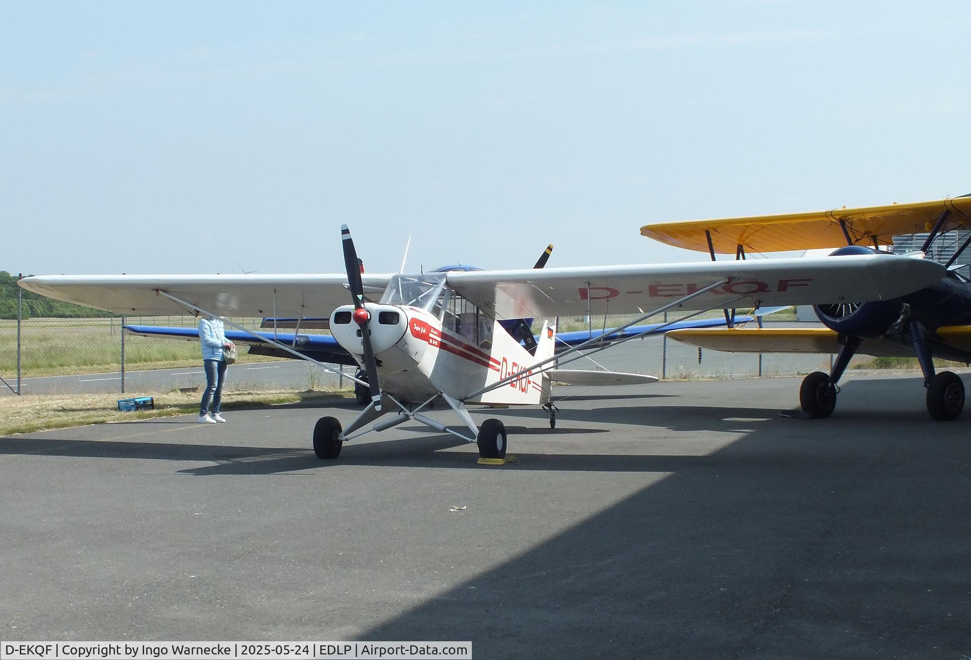 D-EKQF, 1951 Piper L-18C Super Cub C/N 18-1621, Piper L-18C Super Cub at the 2025 Quax Hangartage / Hangardays at Paderborn Lippstadt airport