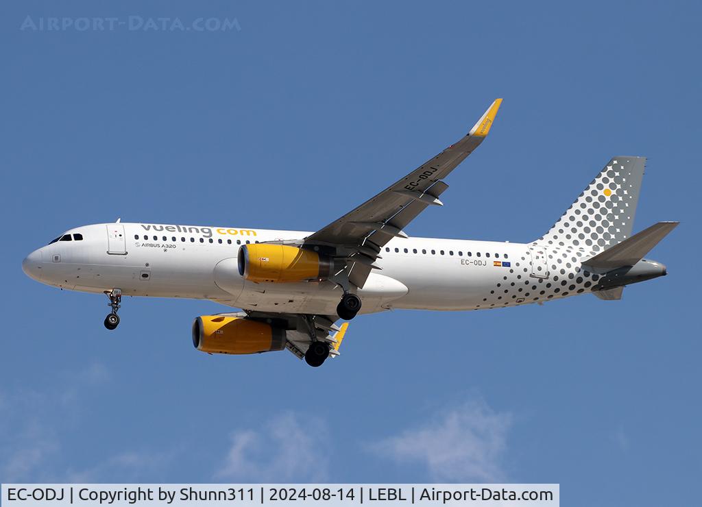 EC-ODJ, 2014 Airbus A320-232 C/N 6115, Landing rwy 24R