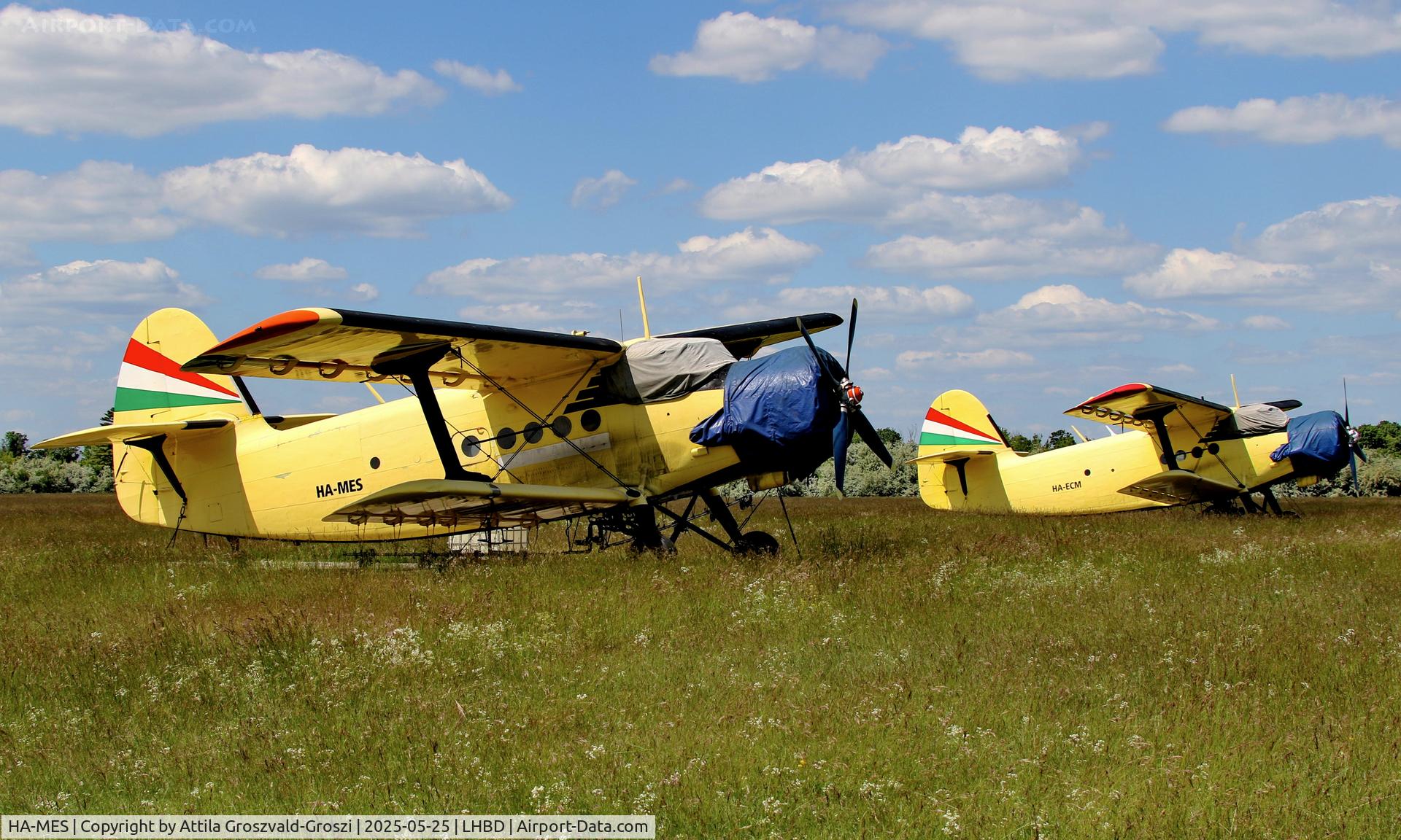 HA-MES, 1981 PZL-Mielec AN-2R C/N 1G194-28, LHBD - Börgönd Airport, Hungary