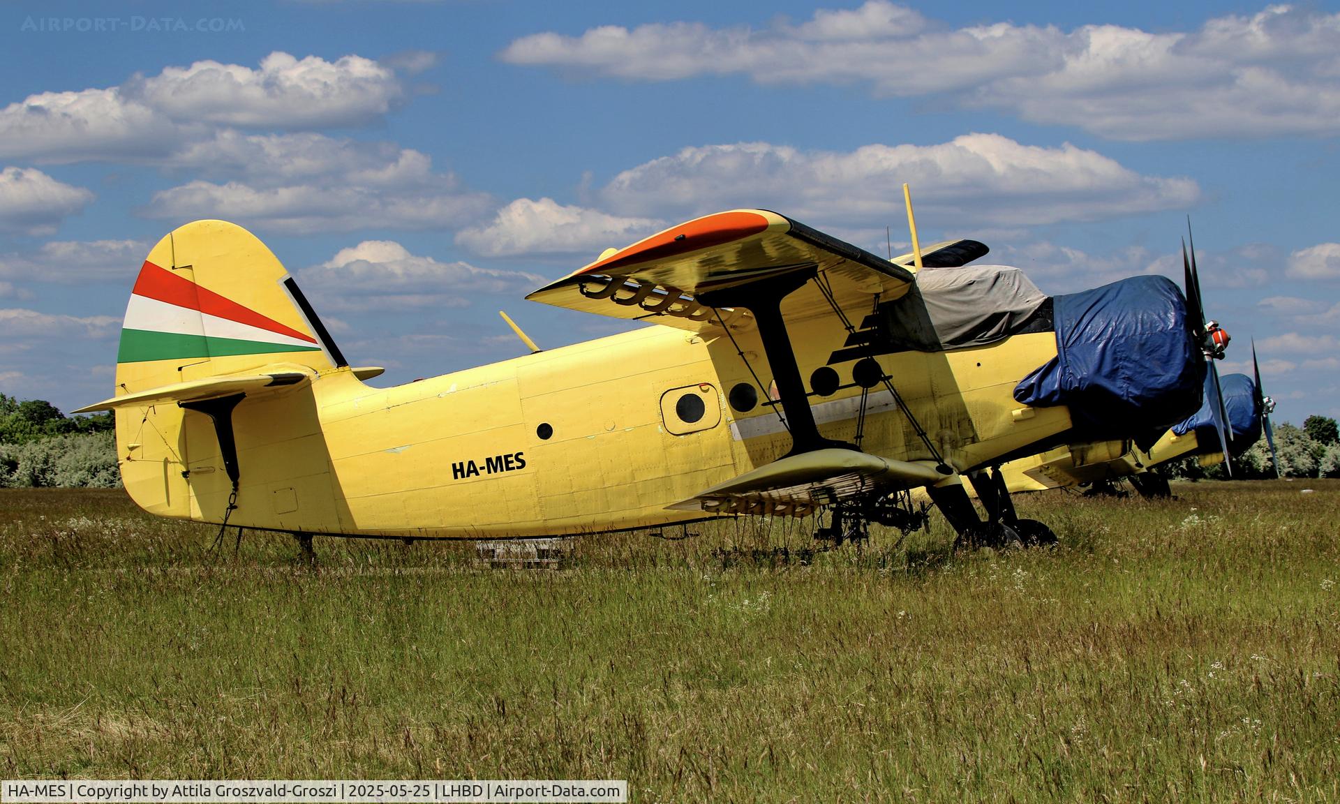 HA-MES, 1981 PZL-Mielec AN-2R C/N 1G194-28, LHBD - Börgönd Airport, Hungary