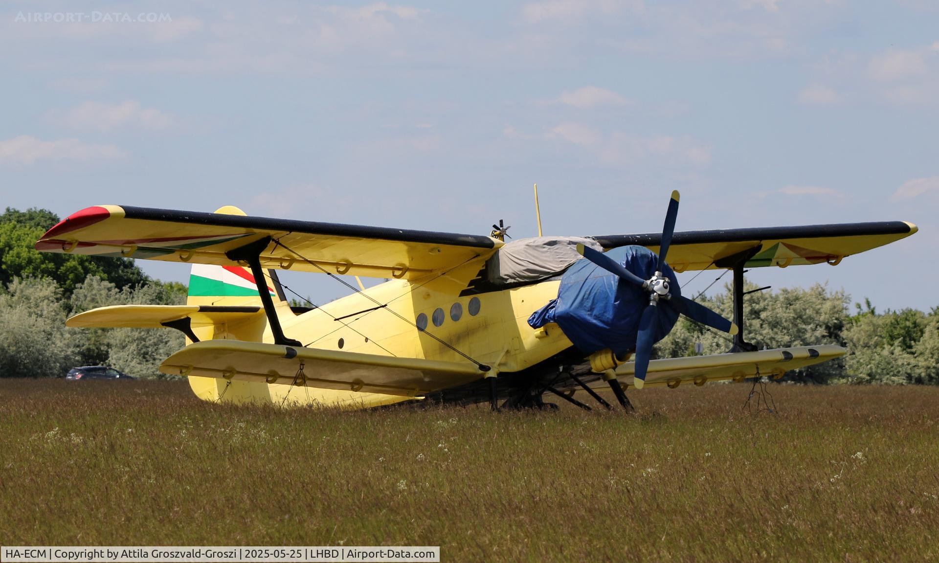 HA-ECM, PZL-Mielec Antonov An-2R Colt C/N 1G201-10, LHBD - Börgönd Airport, Hungary