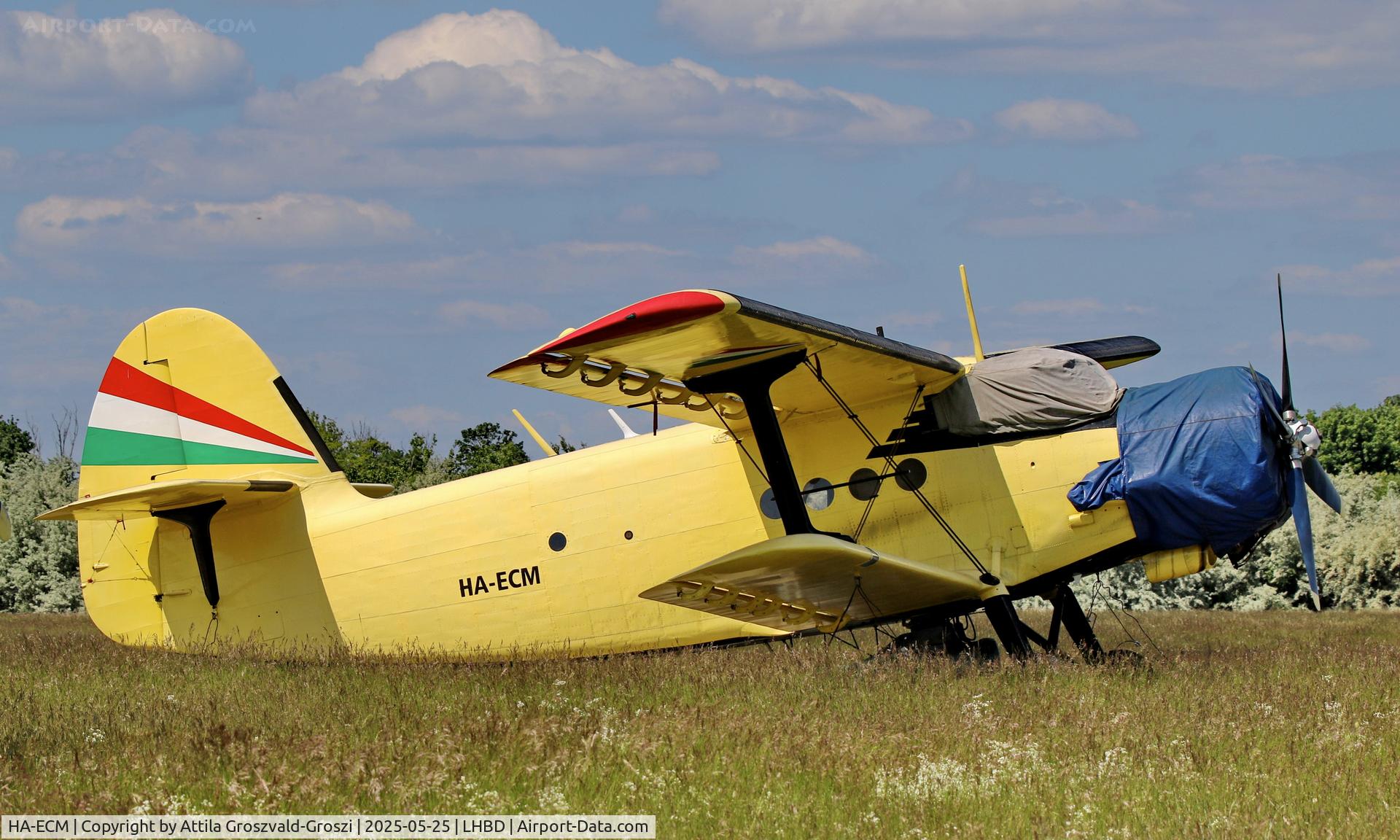 HA-ECM, PZL-Mielec Antonov An-2R Colt C/N 1G201-10, LHBD - Börgönd Airport, Hungary