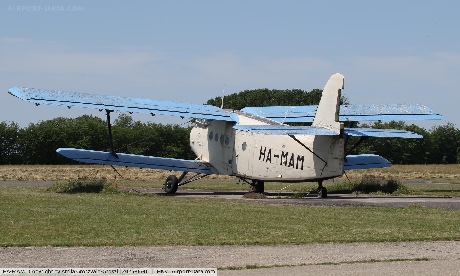 HA-MAM, 1984 PZL-Mielec An-2R C/N 1G208-44, LHKV - Kaposújlak Airport, Hungary
