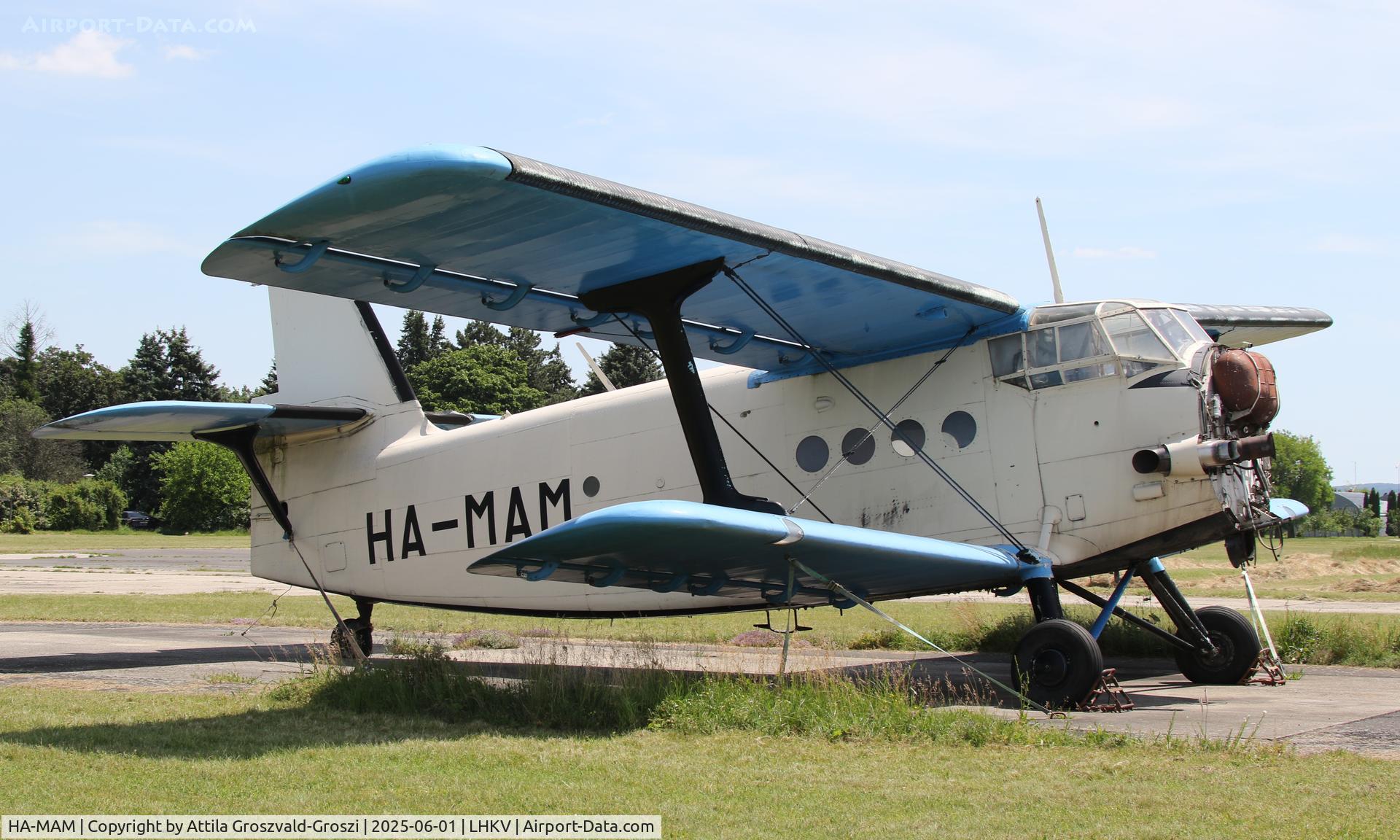 HA-MAM, 1984 PZL-Mielec An-2R C/N 1G208-44, LHKV - Kaposújlak Airport, Hungary