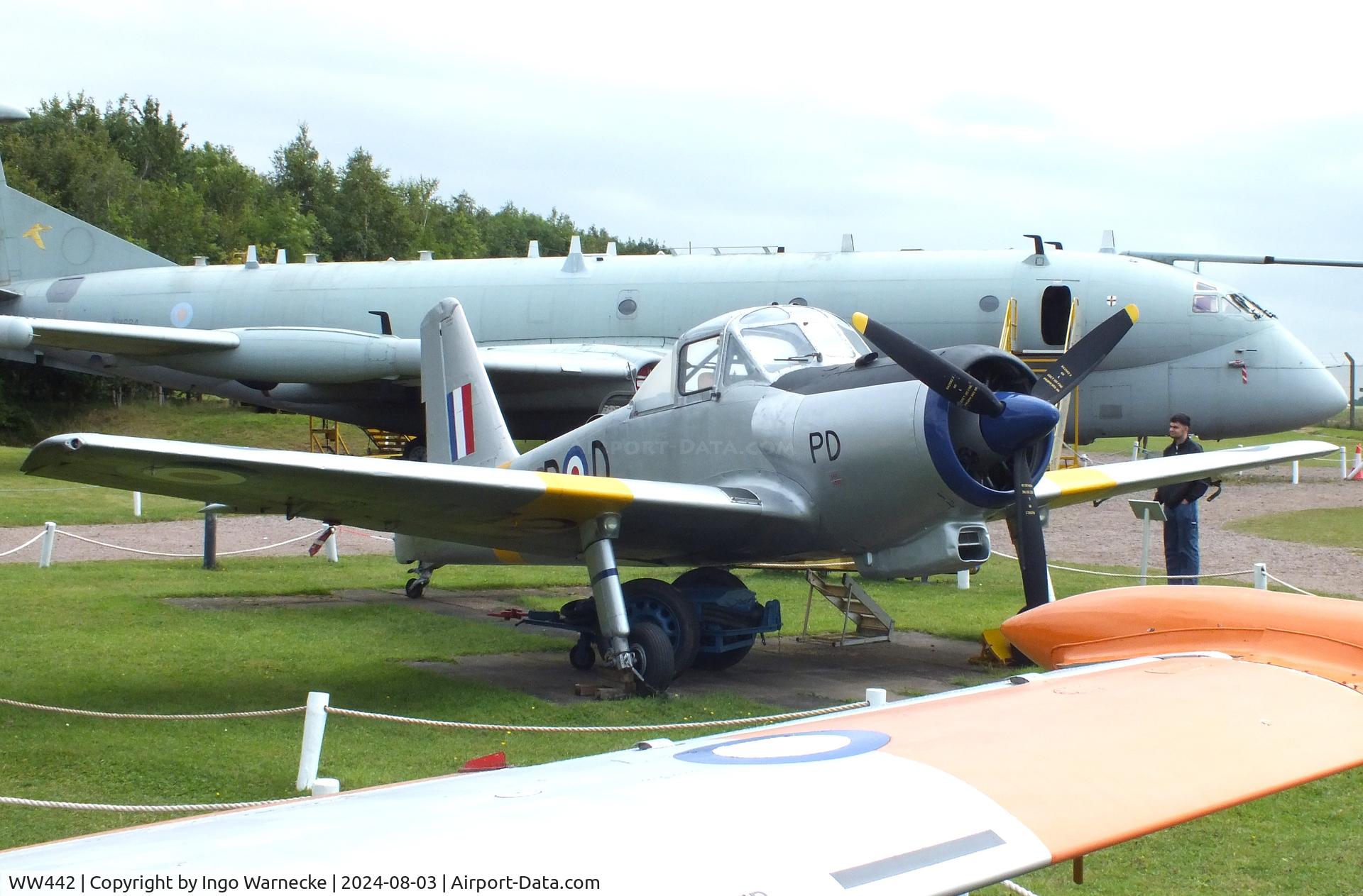 WW442, 1954 Percival P-56 Provost T.1 C/N PAC/56/257, Percival P.56 Provost T1 at the East Midlands Aeropark, Castle Donington