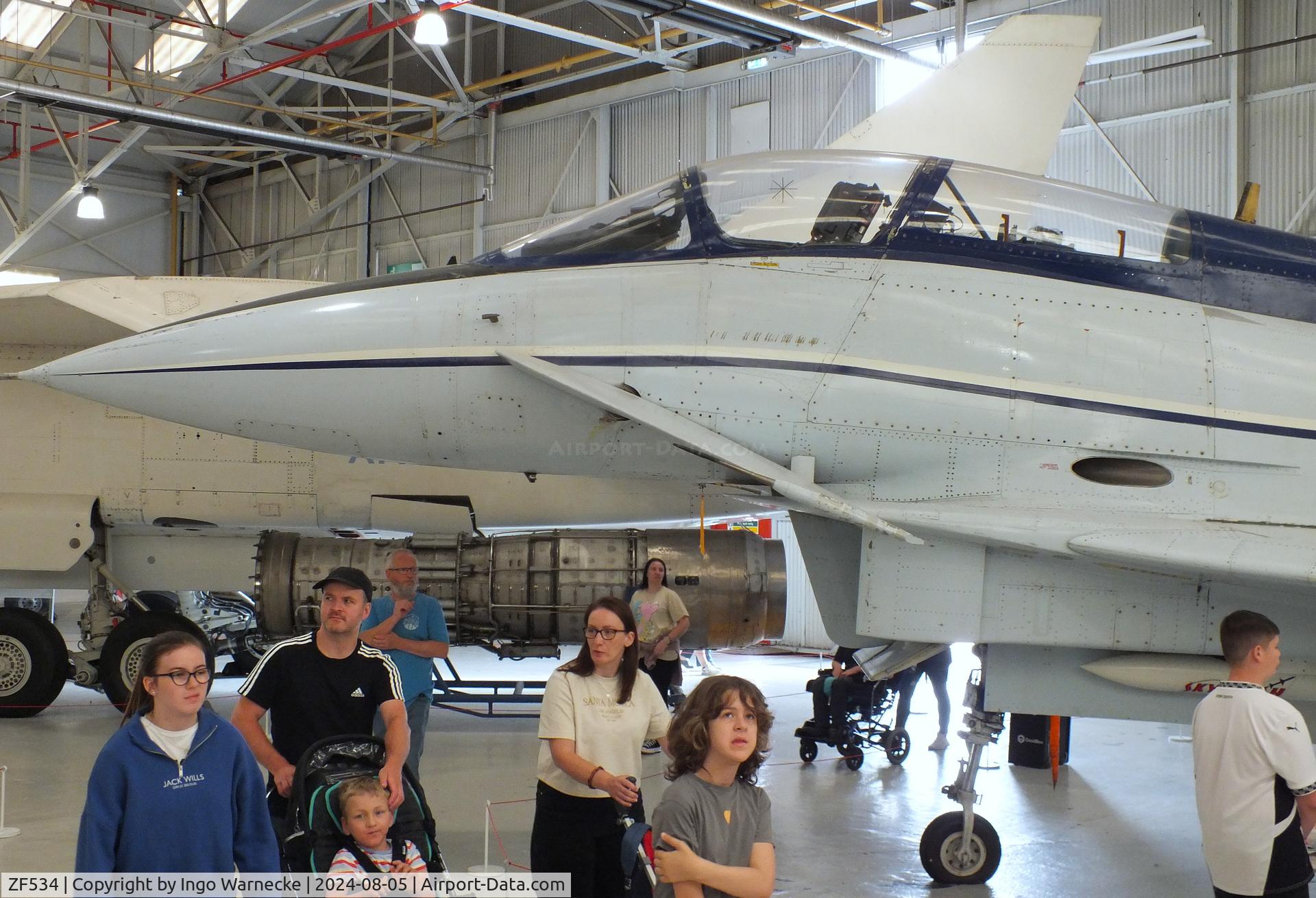 ZF534, 1986 British Aerospace EAP C/N Unknown, BAe EAP (Experimental Aircraft Programme) at the RAF Museum Cosford