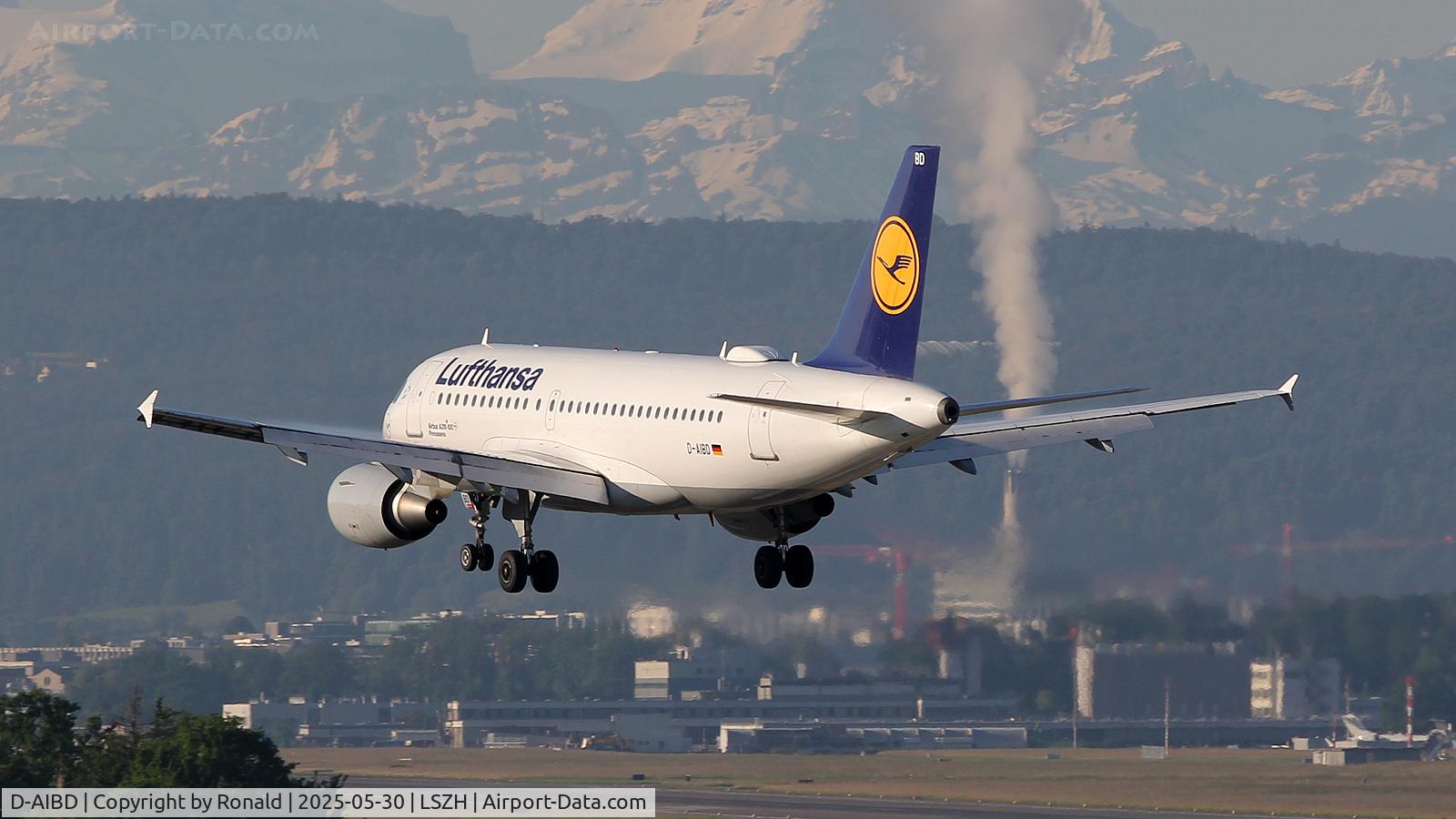 D-AIBD, 2010 Airbus A319-112 C/N 4455, at zrh