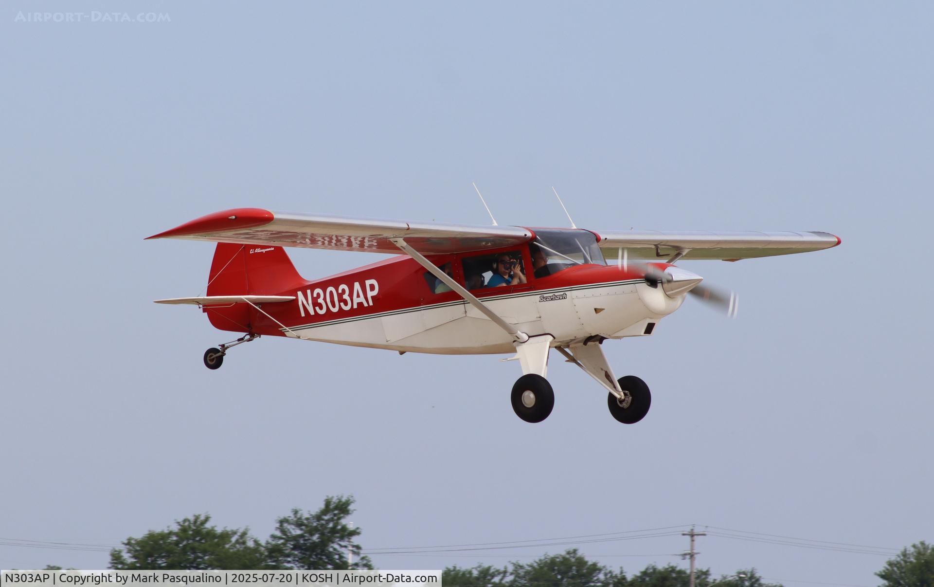 N303AP, 2003 Avipro Bearhawk C/N 02-01/02-444, Bearhawk