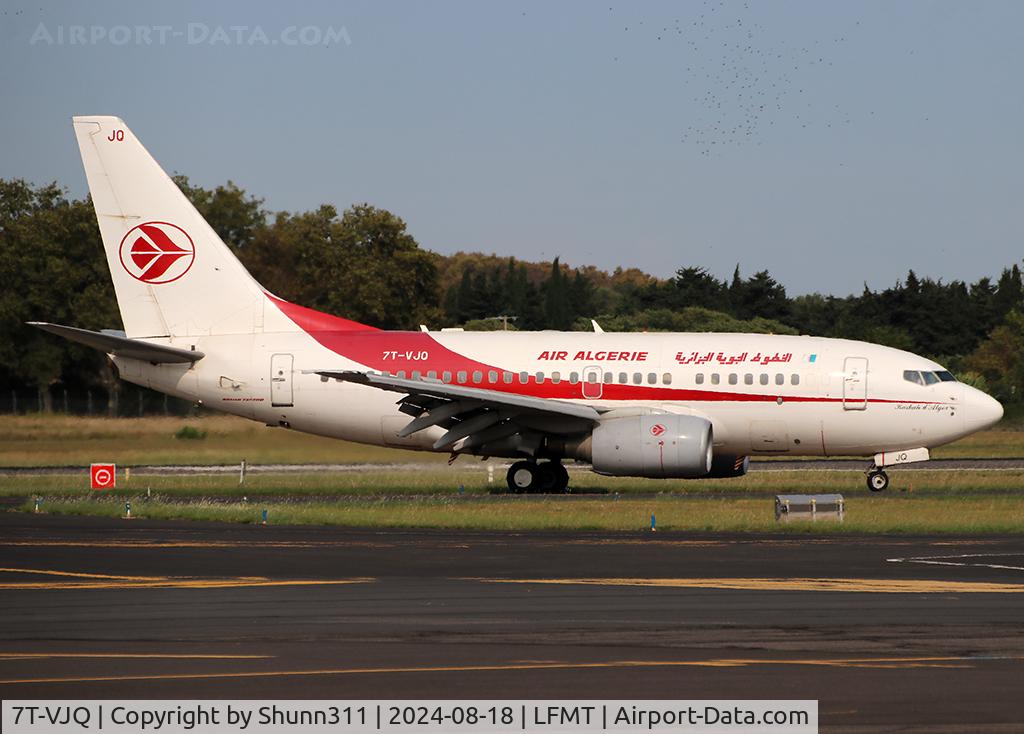 7T-VJQ, 2002 Boeing 737-6D6 C/N 30209, Taxiing to the Terminal after landing...