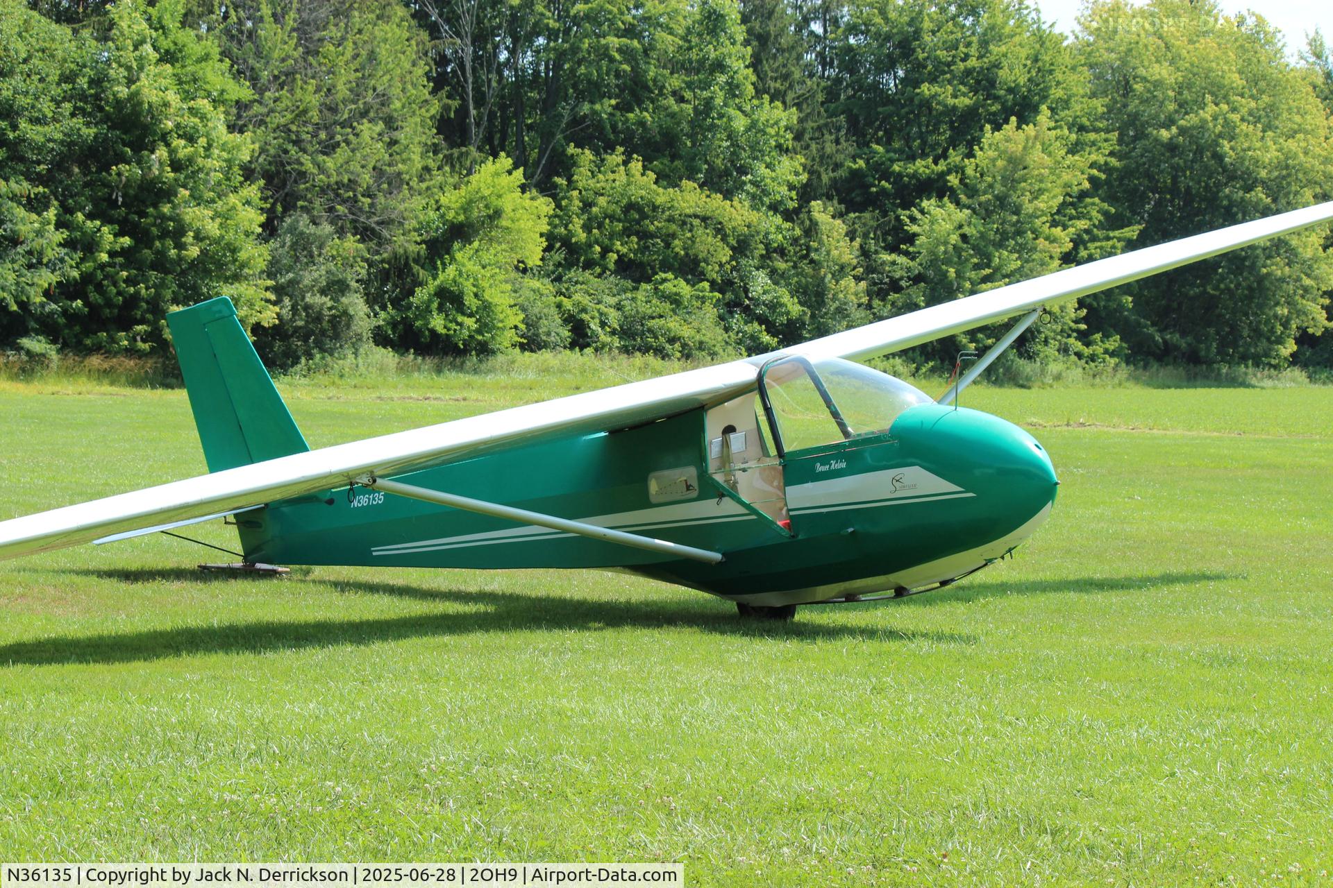 N36135, 1981 Schweizer SGS 2-33A C/N 564, DN first flight