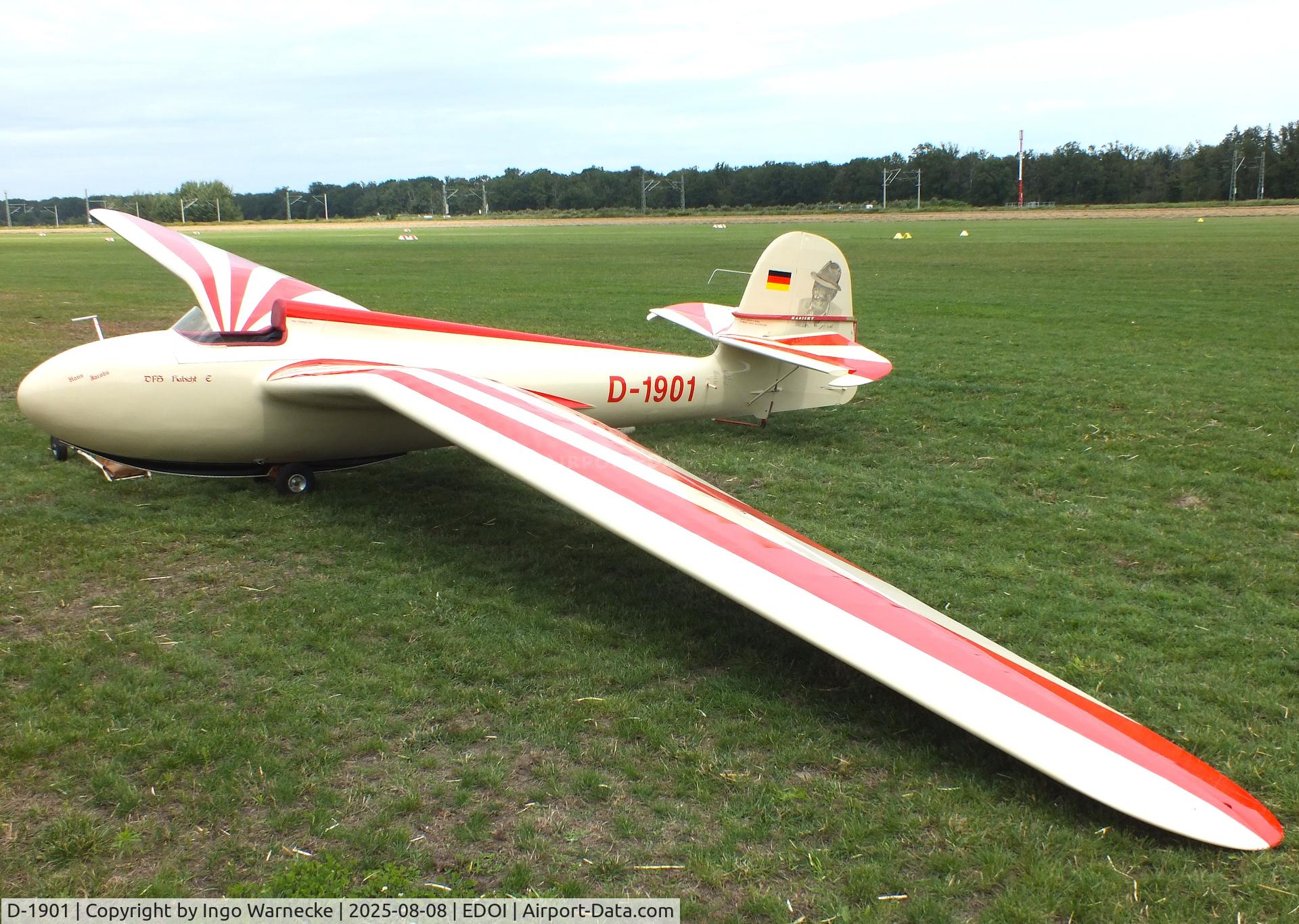 D-1901, 1963 DFS 108-53 Habicht E Replica C/N 1, Jacobs DFS 108-53 Habicht E replica at Bienenfarm airfield during the 2025 Quax Bücker-Treffen (Bücker-Meeting) and Vintage Aerobatic World Championships