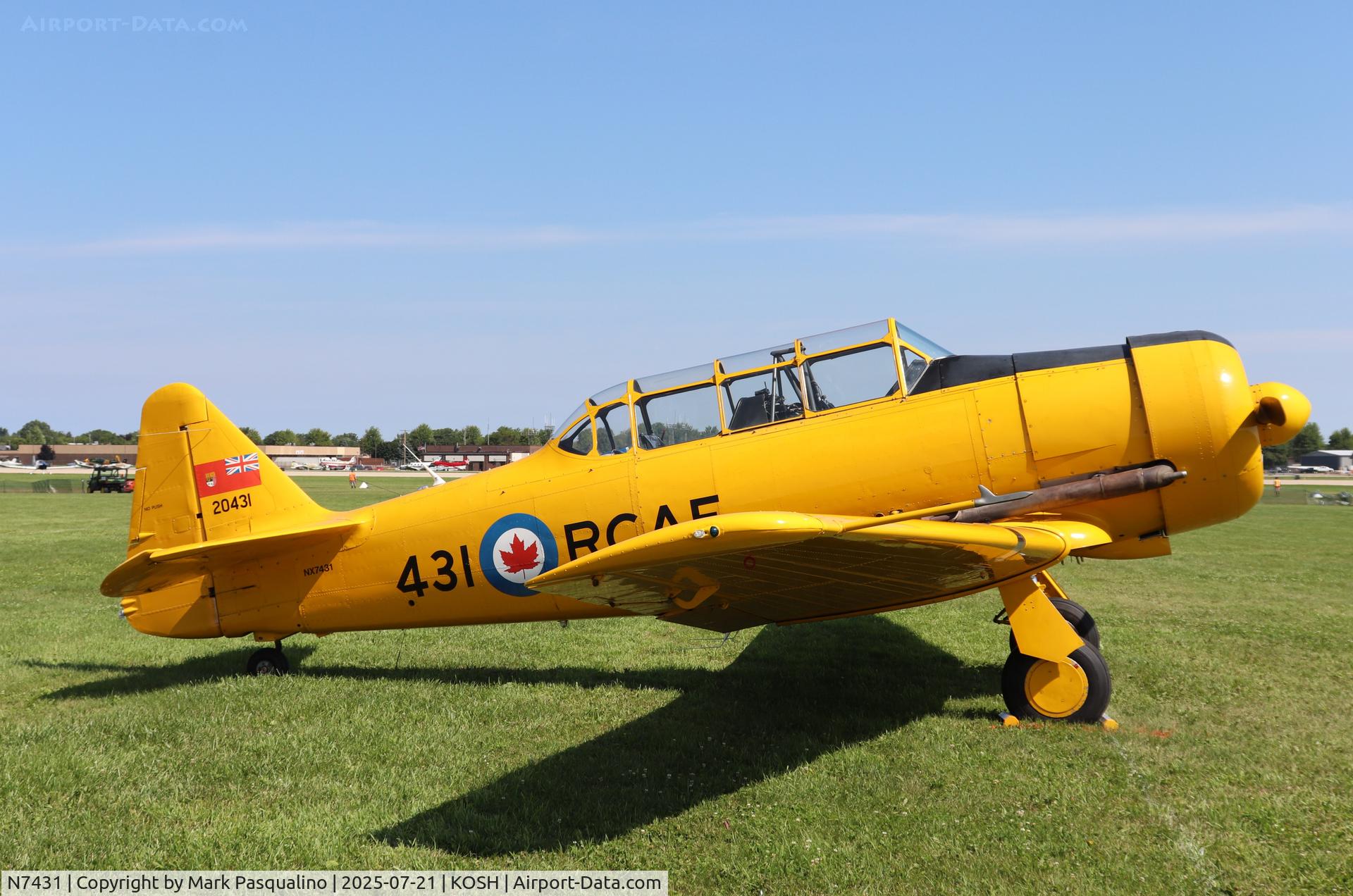 N7431, 1952 Canadian Car & Foundry Harvard MK IV C/N CCF4 222, Harvard MK IV