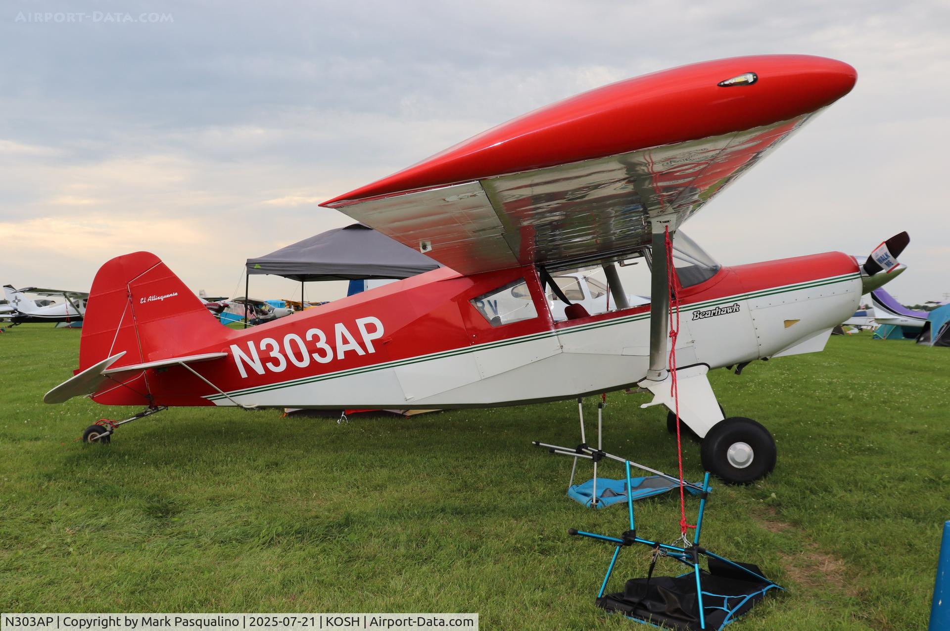 N303AP, 2003 Avipro Bearhawk C/N 02-01/02-444, Bearhawk