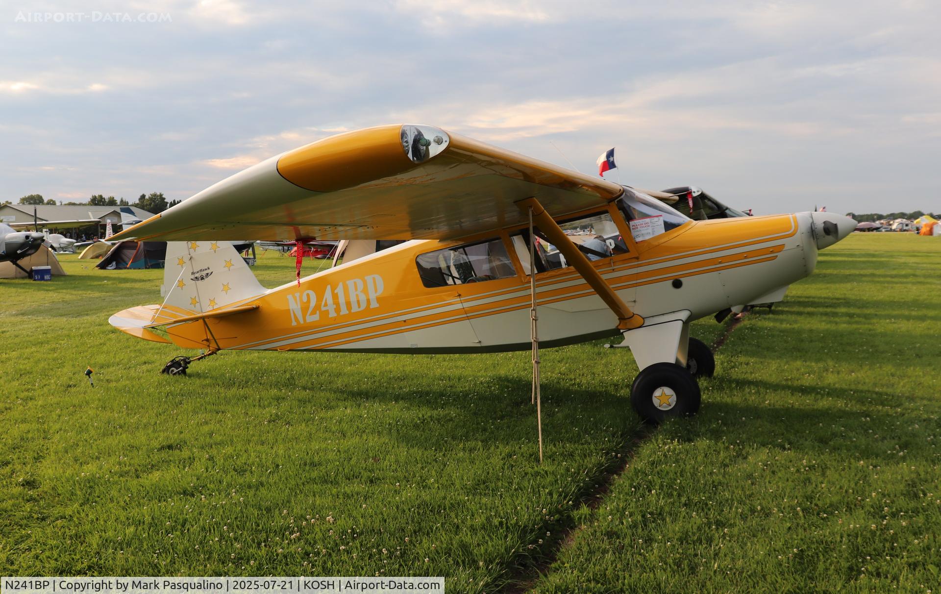 N241BP, 2017 Bearhawk Patrol C/N P241, Bearhawk Patrol