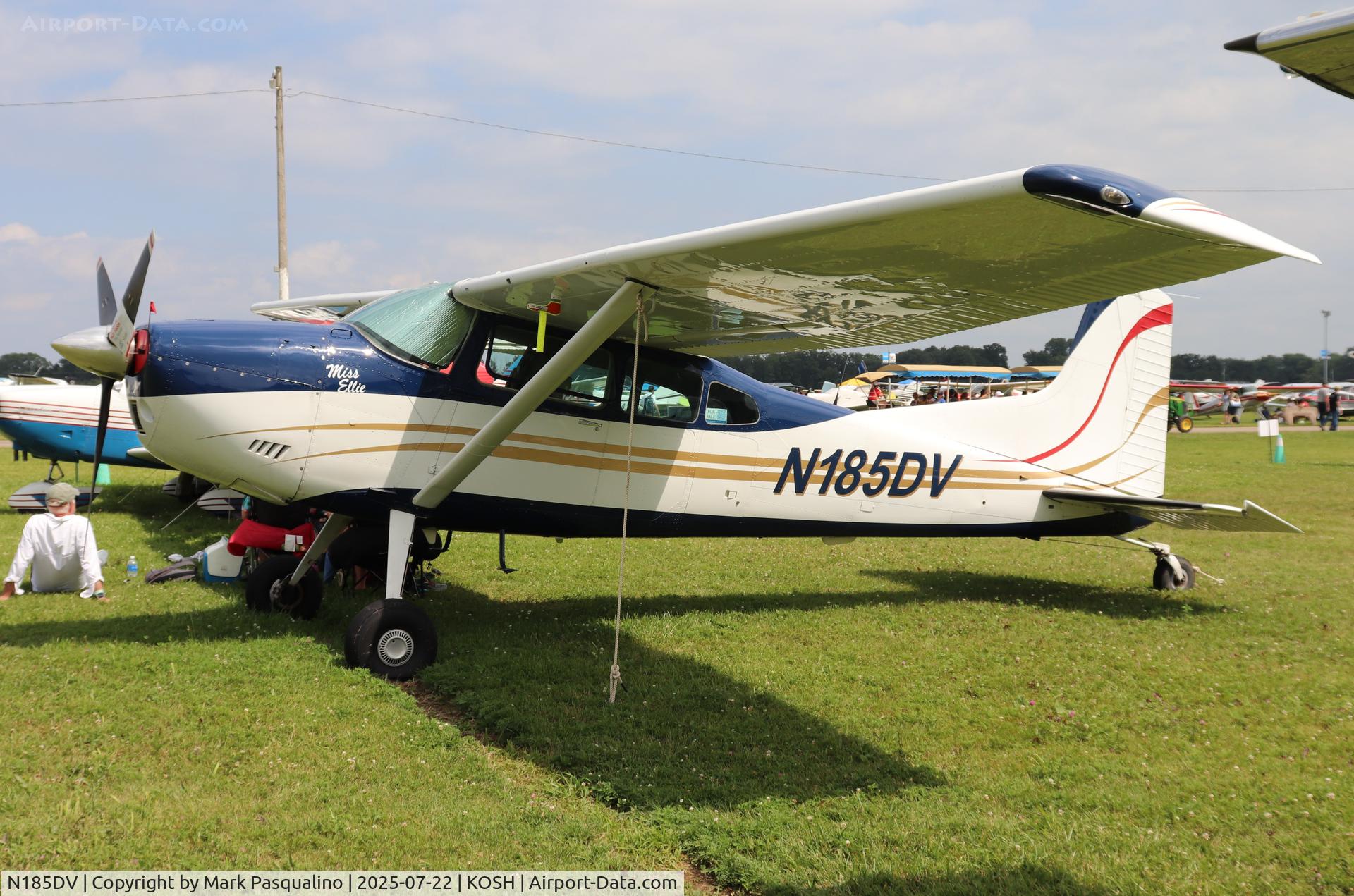 N185DV, 1976 Cessna A185F Skywagon 185 C/N 18502933, Cessna A185F