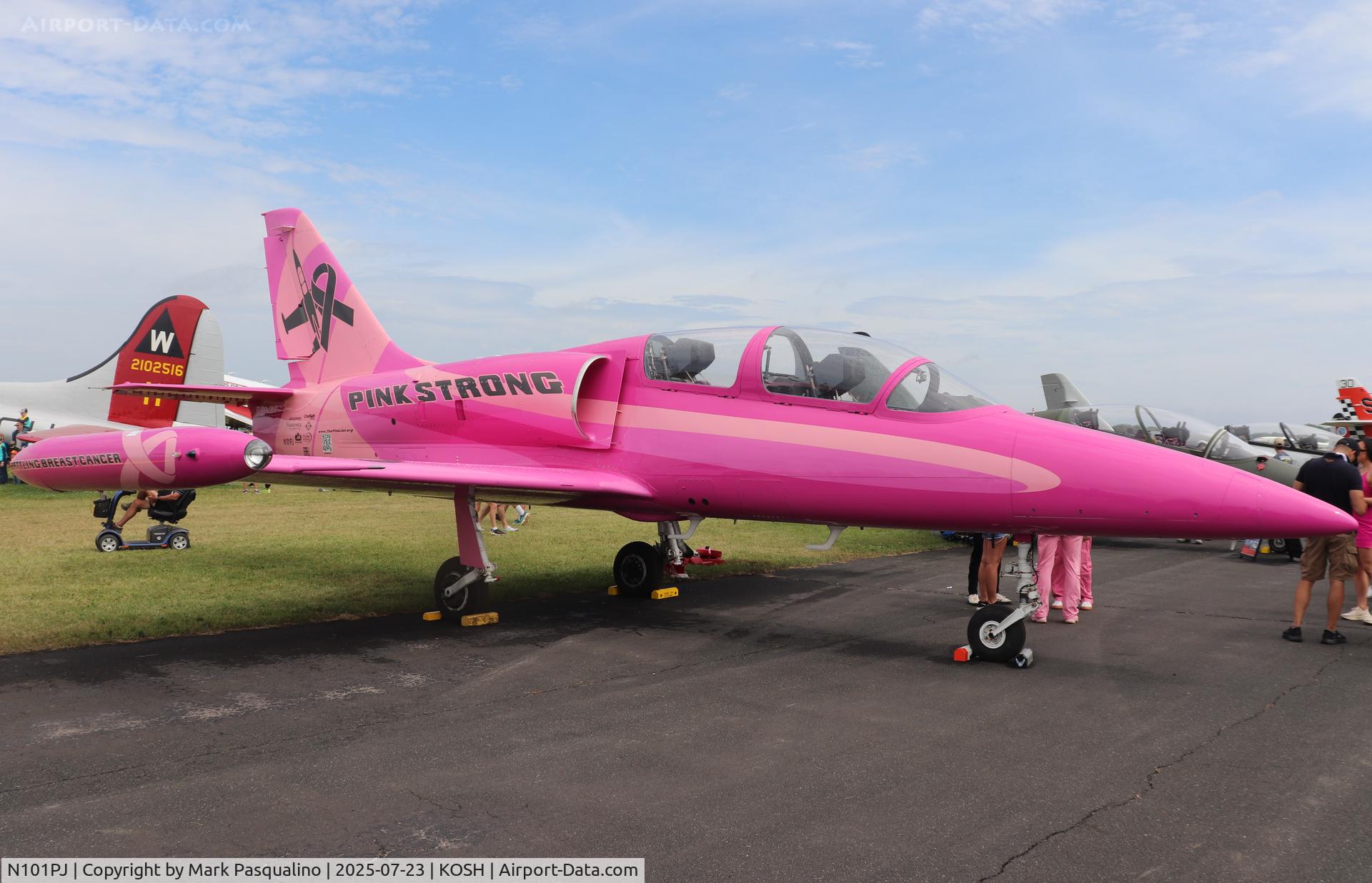 N101PJ, 1979 Aero Vodochody L-39C C/N 931341, Aero L-39C