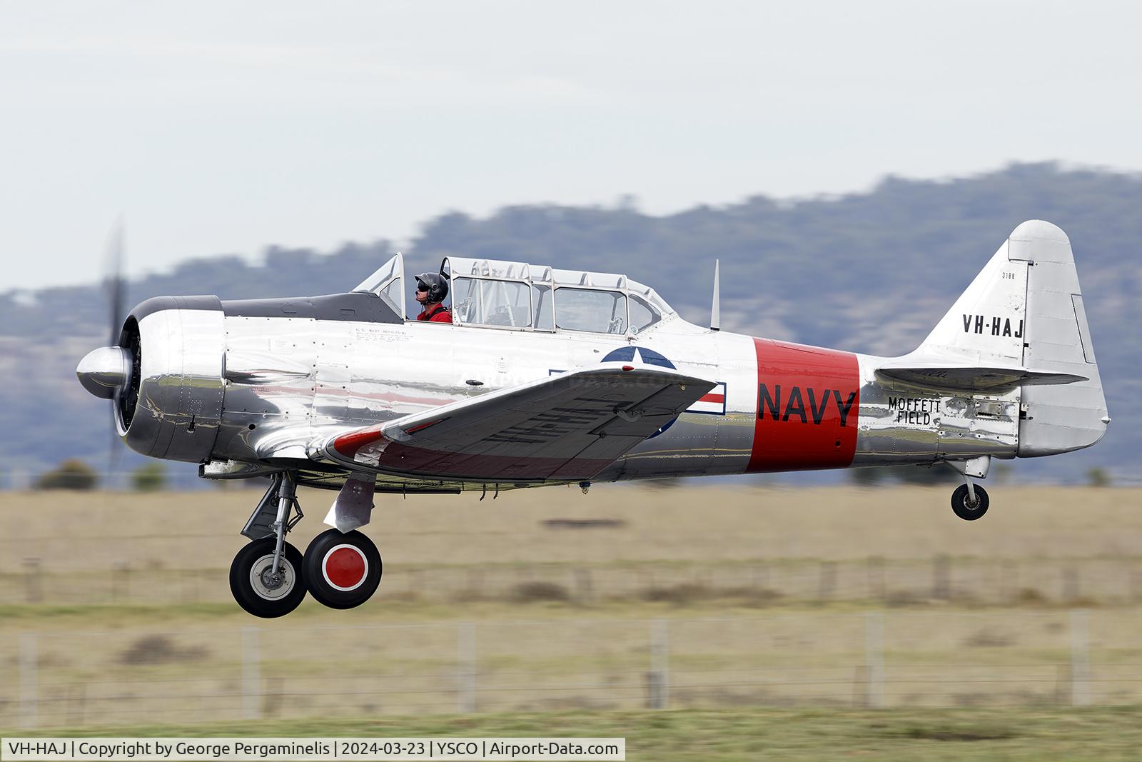 VH-HAJ, 1949 North American T-6G Texan C/N 168-290, Warbirds Over Scone 2024.