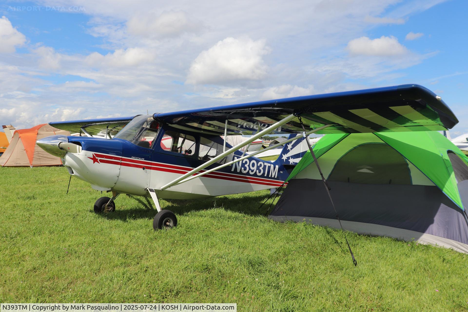 N393TM, 1973 Bellanca 8KCAB Decathlon C/N 82-73, Bellanca 8KCAB
