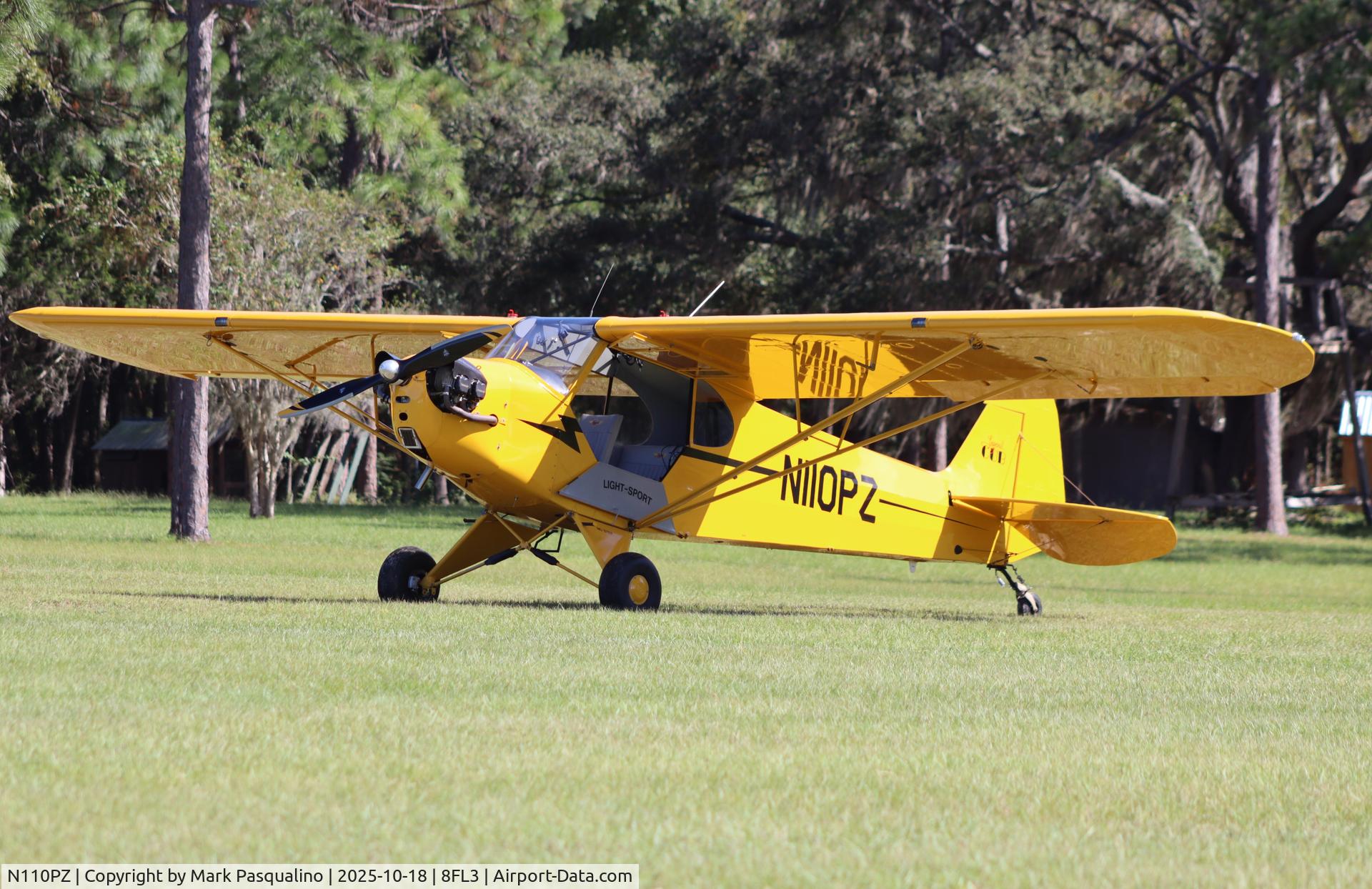 N110PZ, 2012 American Legend AL3 C/N AL-1165, American Legend AL3