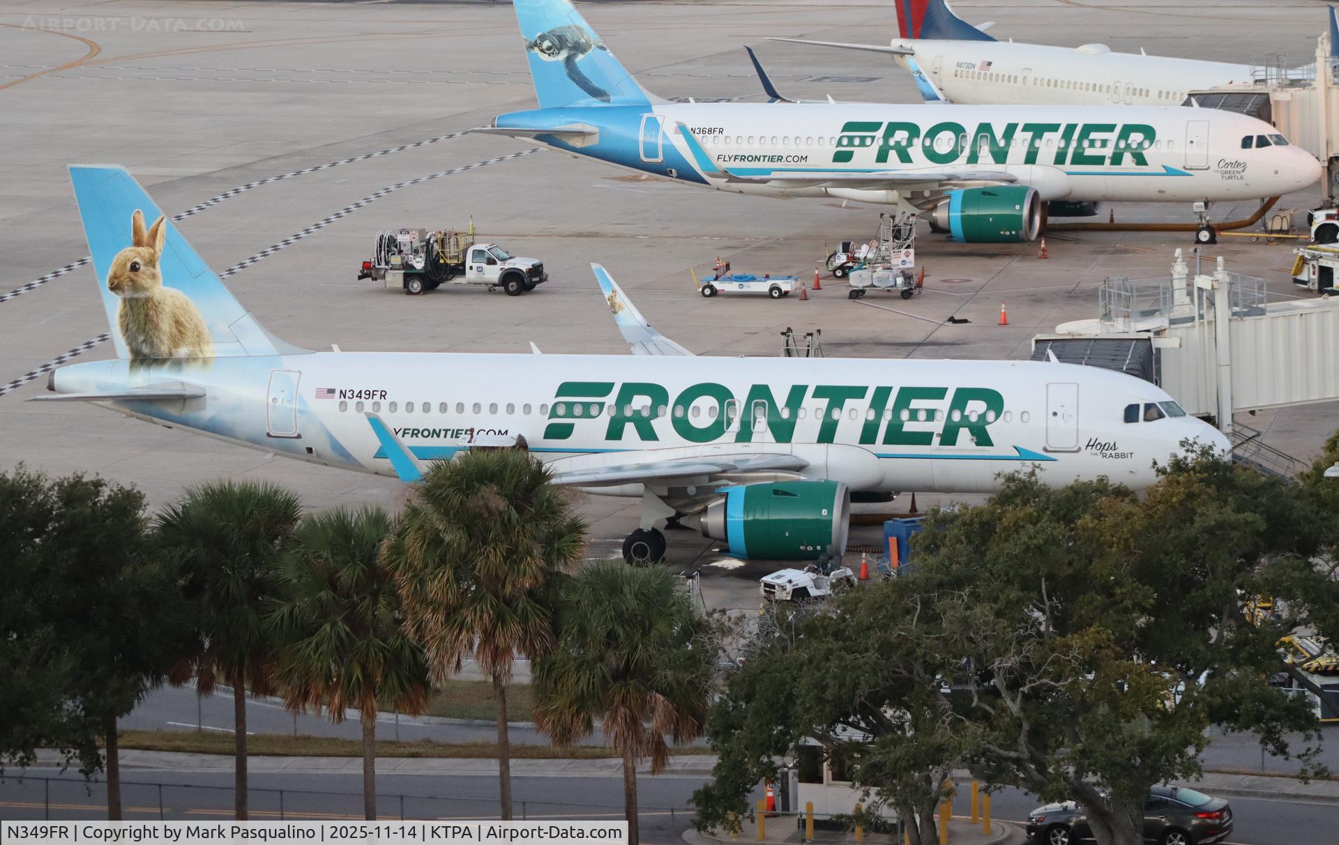 N349FR, 2019 Airbus A320-251N C/N 8766, Airbus A320-251N